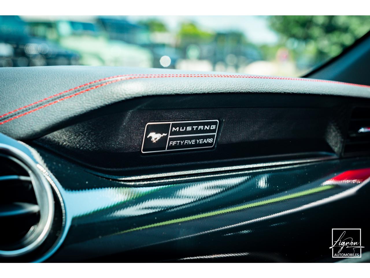 Photo FORD MUSTANG Cabriolet Gt 5.0l V8 450 BVA10 Premium - à partir de 683 euros