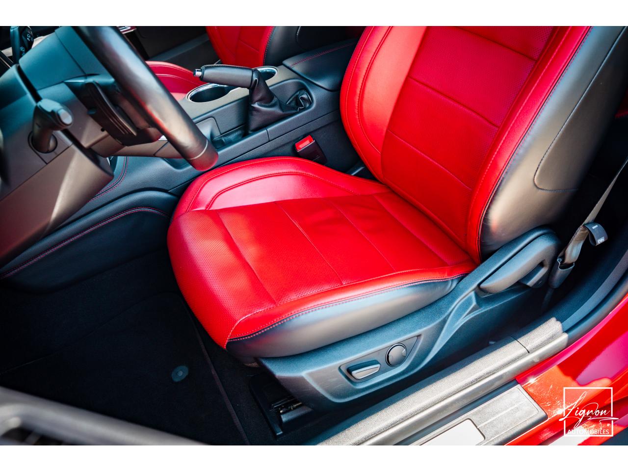 Photo FORD MUSTANG Cabriolet Gt 5.0l V8 450 BVA10 Premium - à partir de 683 euros