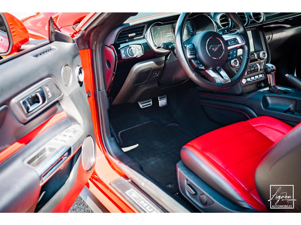 Photo FORD MUSTANG Cabriolet Gt 5.0l V8 450 BVA10 Premium - à partir de 683 euros