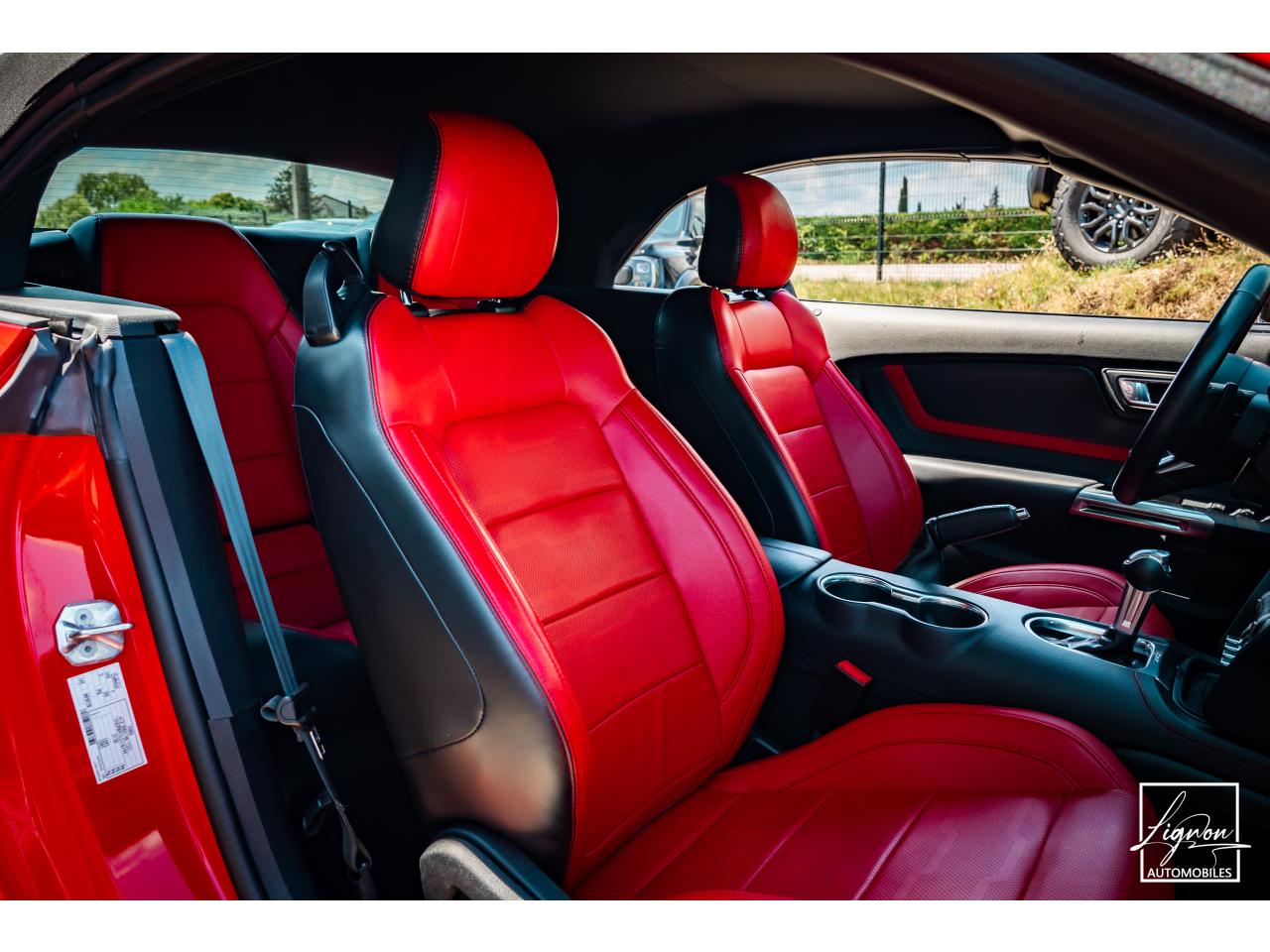 Photo FORD MUSTANG Cabriolet Gt 5.0l V8 450 BVA10 Premium - à partir de 683 euros