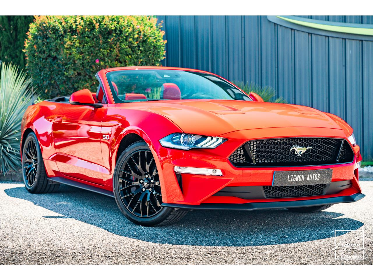 Photo FORD MUSTANG Cabriolet Gt 5.0l V8 450 BVA10 Premium - à partir de 683 euros