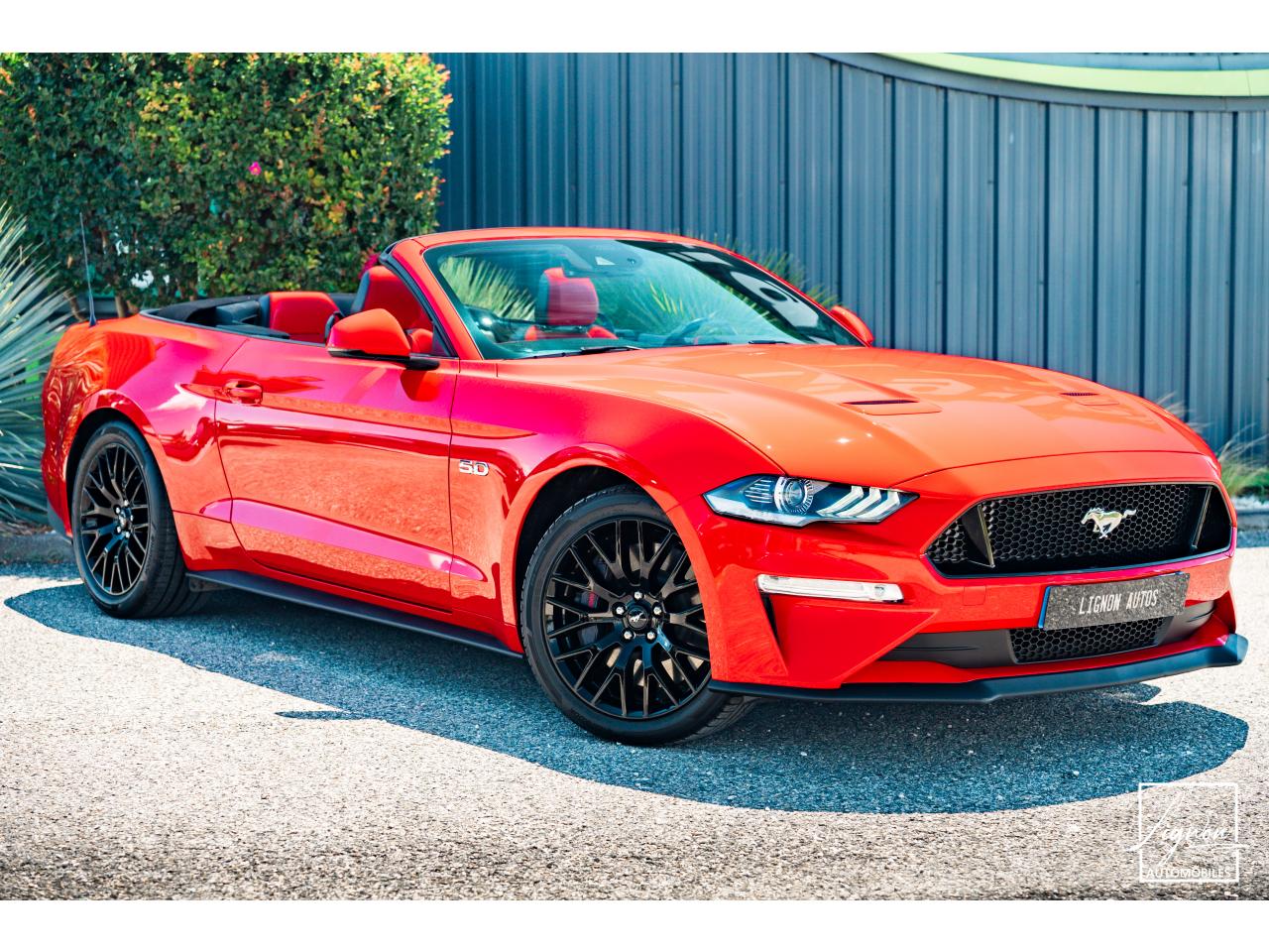 Photo FORD MUSTANG Cabriolet Gt 5.0l V8 450 BVA10 Premium - à partir de 683 euros