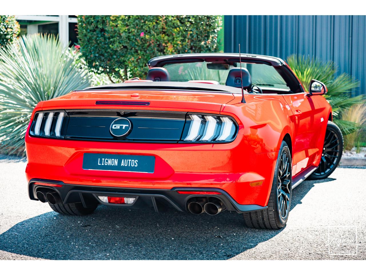 Photo FORD MUSTANG Cabriolet Gt 5.0l V8 450 BVA10 Premium - à partir de 683 euros
