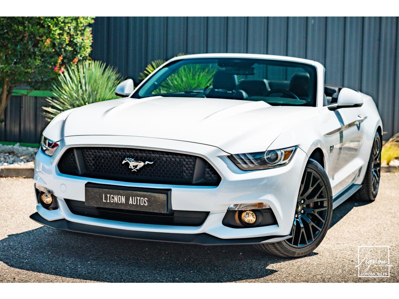 FORD MUSTANG 5.0L v8 GT Cabriolet 421 ch BVA6