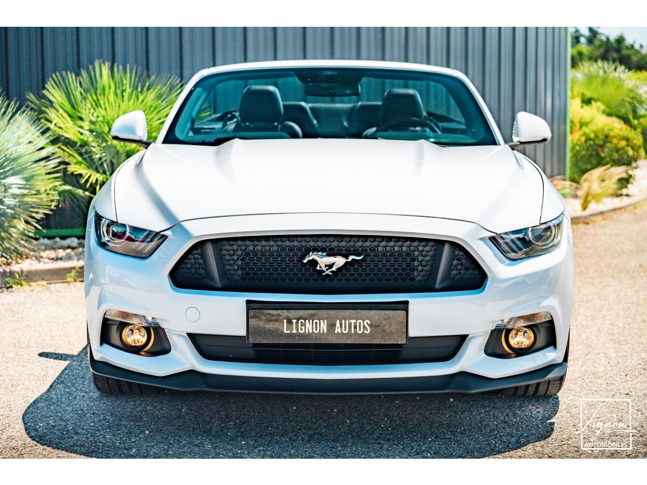 Photo FORD MUSTANG 5.0L v8 GT Cabriolet 421 ch BVA6