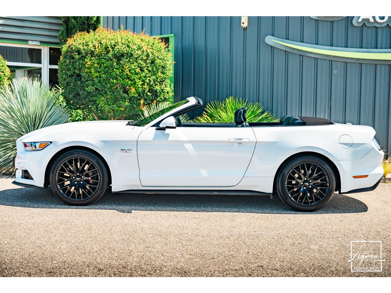 Photo FORD MUSTANG 5.0L v8 GT Cabriolet 421 ch BVA6