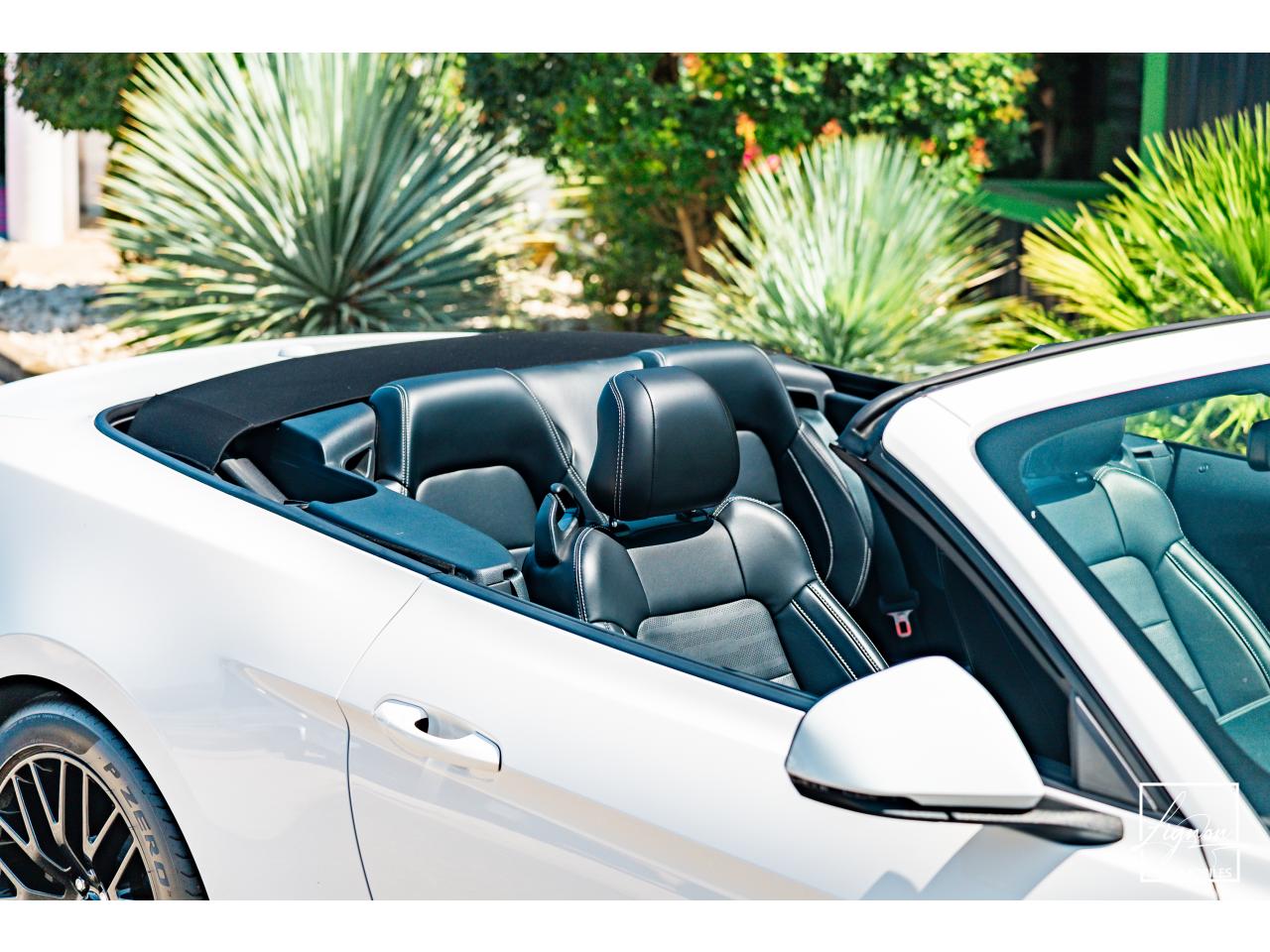 Photo FORD MUSTANG 5.0L v8 GT Cabriolet 421 ch BVA6