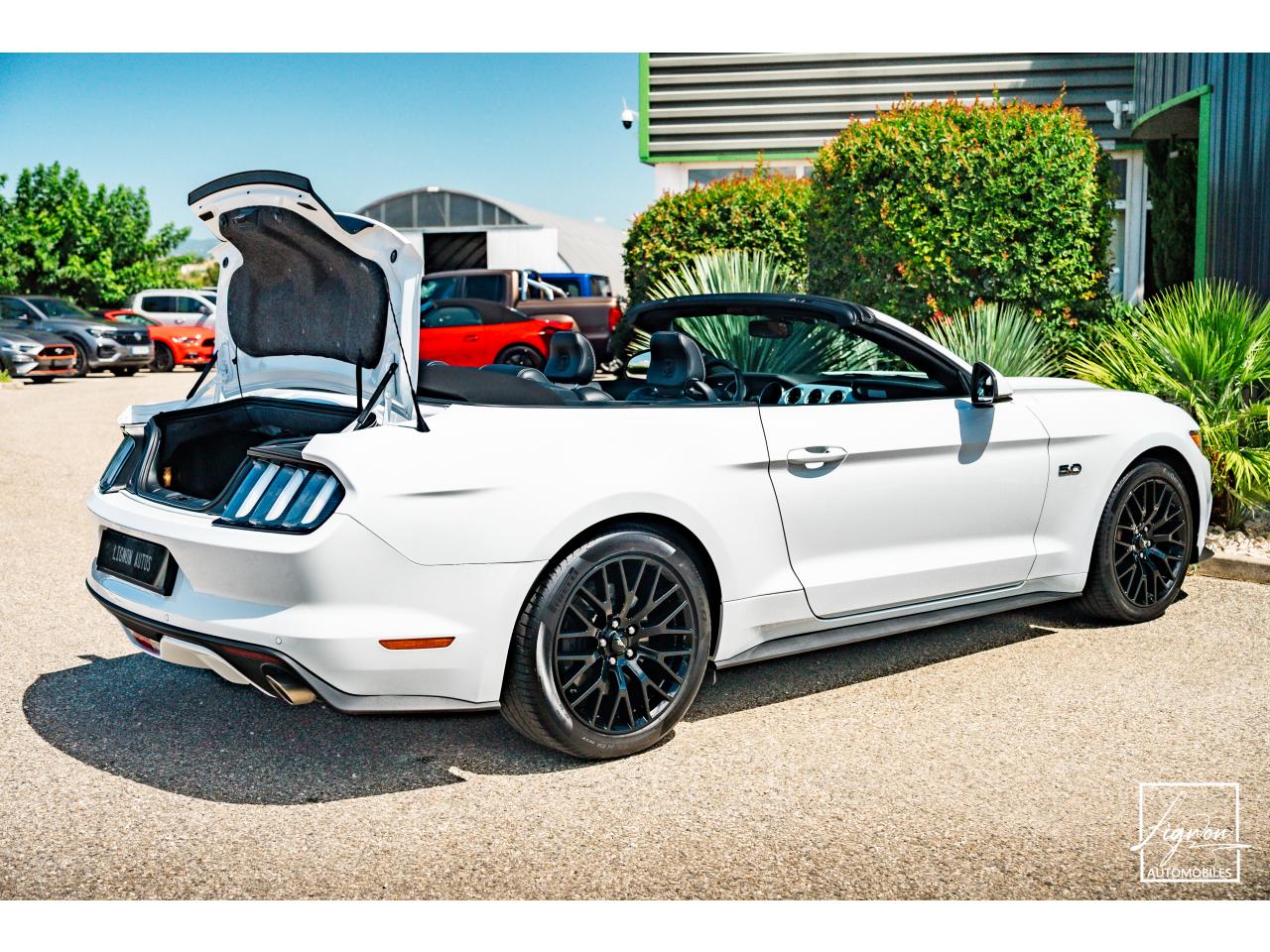 Photo FORD MUSTANG 5.0L v8 GT Cabriolet 421 ch BVA6