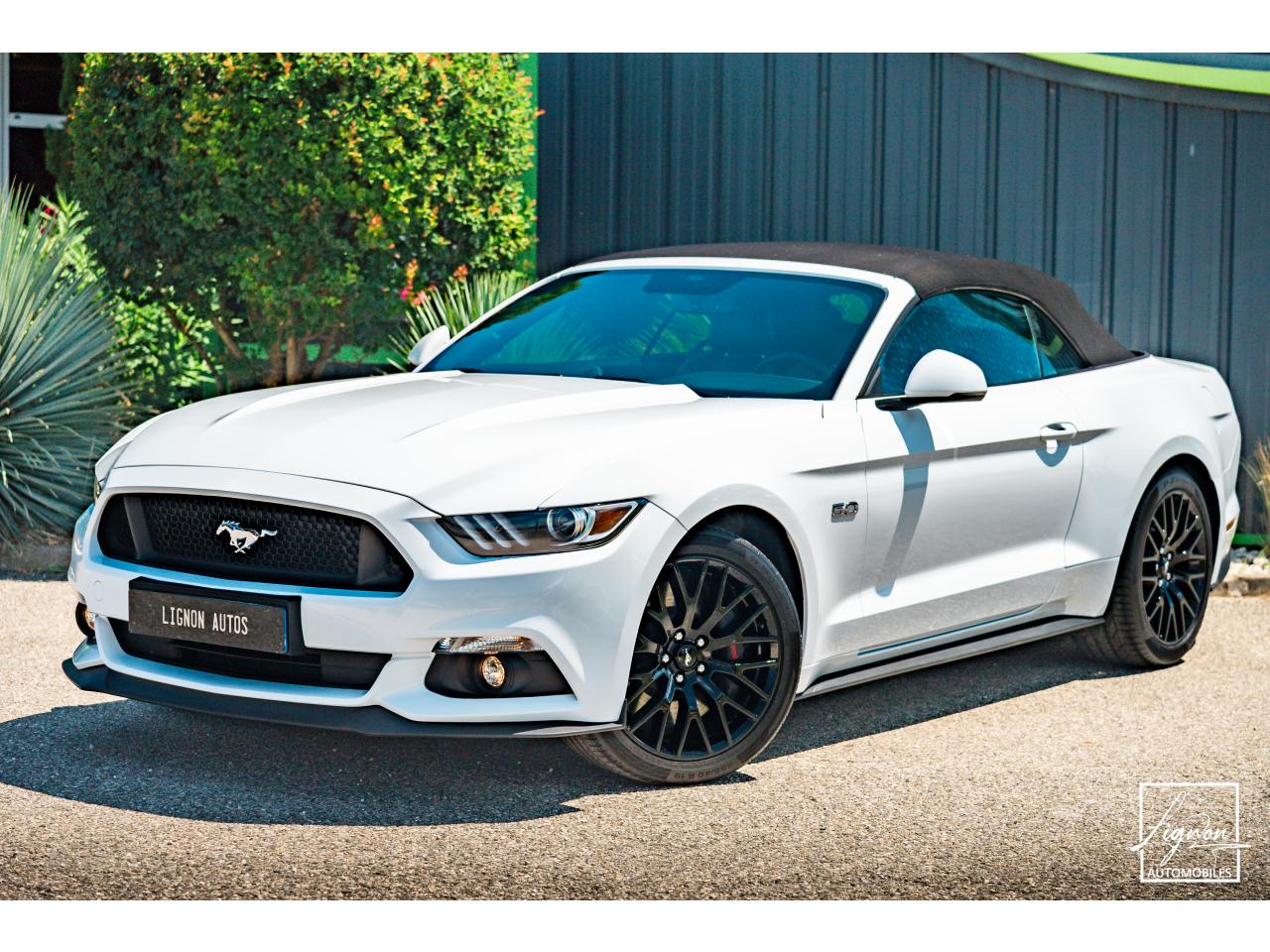 Photo FORD MUSTANG 5.0L v8 GT Cabriolet 421 ch BVA6