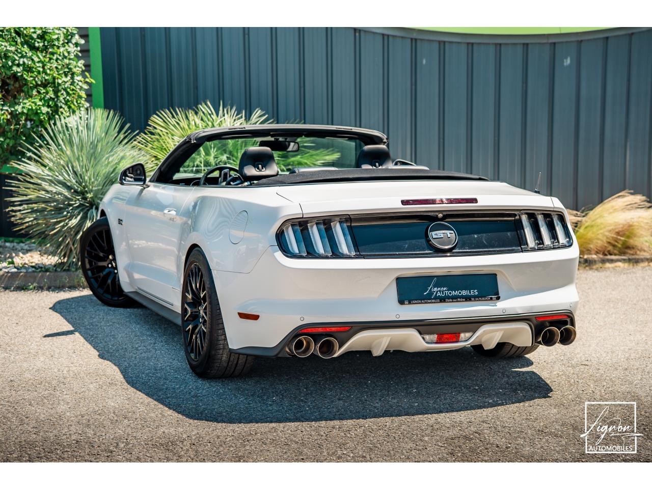 Photo FORD MUSTANG 5.0 v8 GT Cabriolet 421 ch BVM6 - à partir de 362 euros