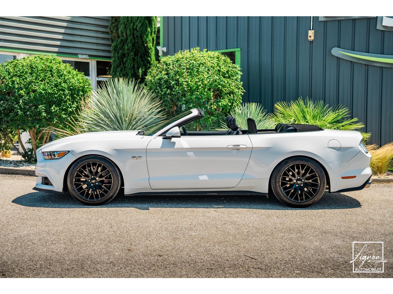 Photo FORD MUSTANG 5.0 v8 GT Cabriolet 421 ch BVM6 - à partir de 362 euros
