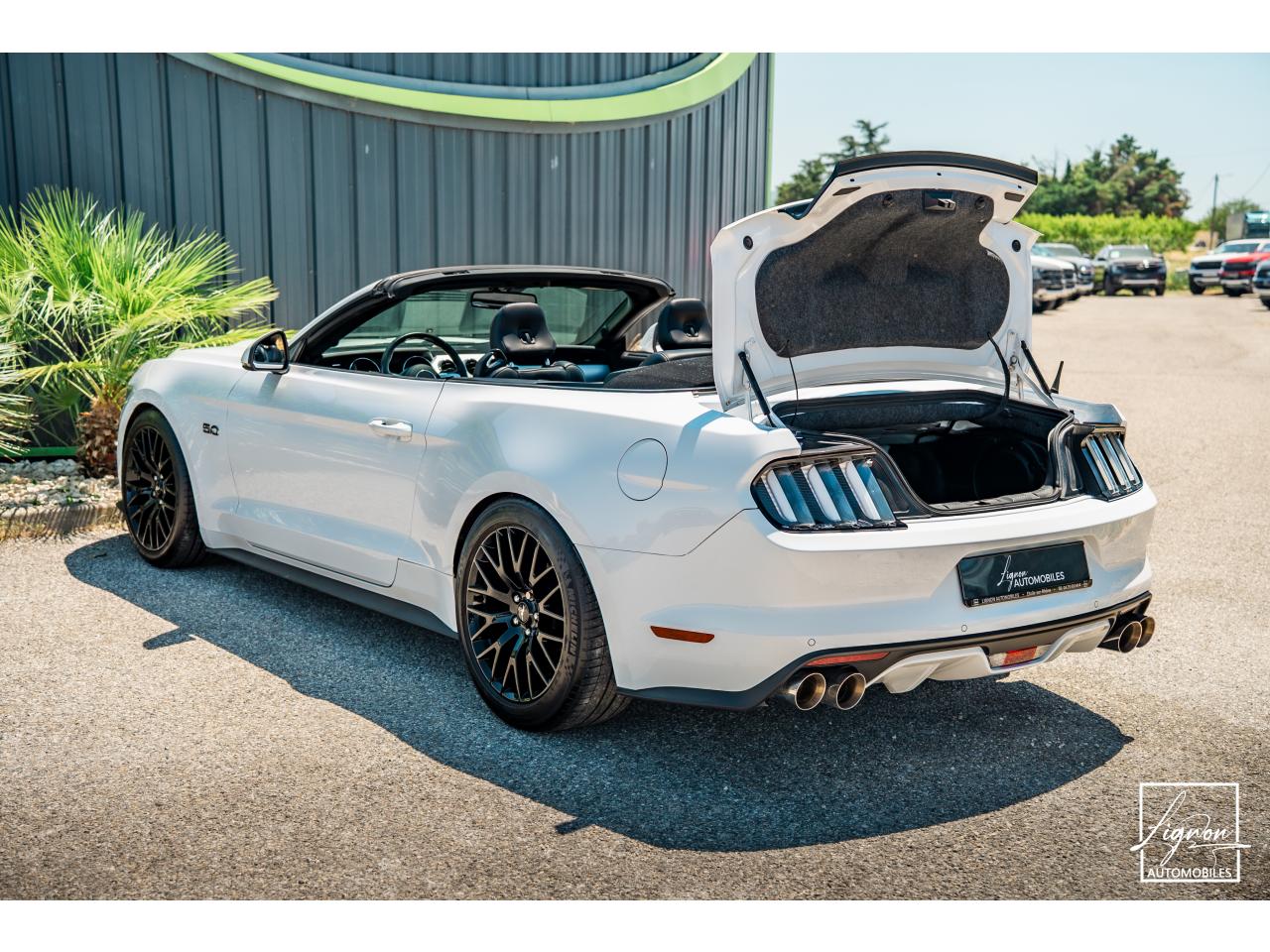 Photo FORD MUSTANG 5.0 v8 GT Cabriolet 421 ch BVM6 - à partir de 362 euros