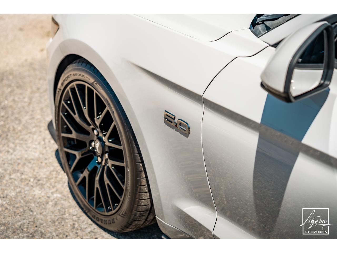 Photo FORD MUSTANG 5.0 v8 GT Cabriolet 421 ch BVM6 - à partir de 362 euros