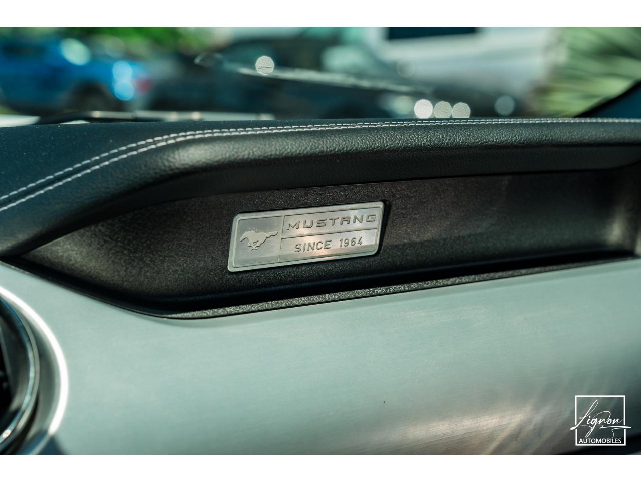 Photo FORD MUSTANG 5.0 v8 GT Cabriolet 421 ch BVM6 - à partir de 362 euros