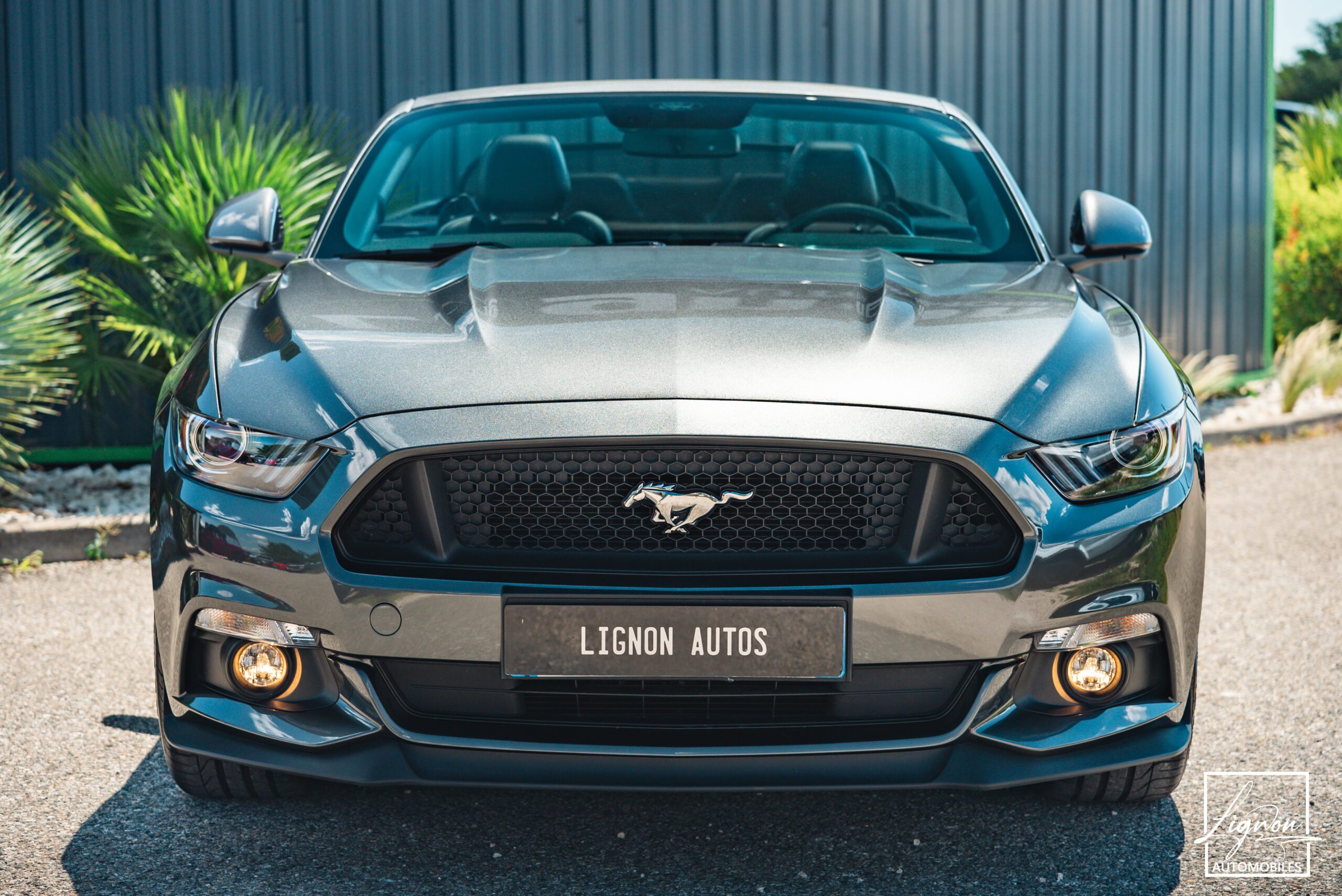 Photo Ford Mustang 5.0 v8 GT Cabriolet 421 ch BVA6