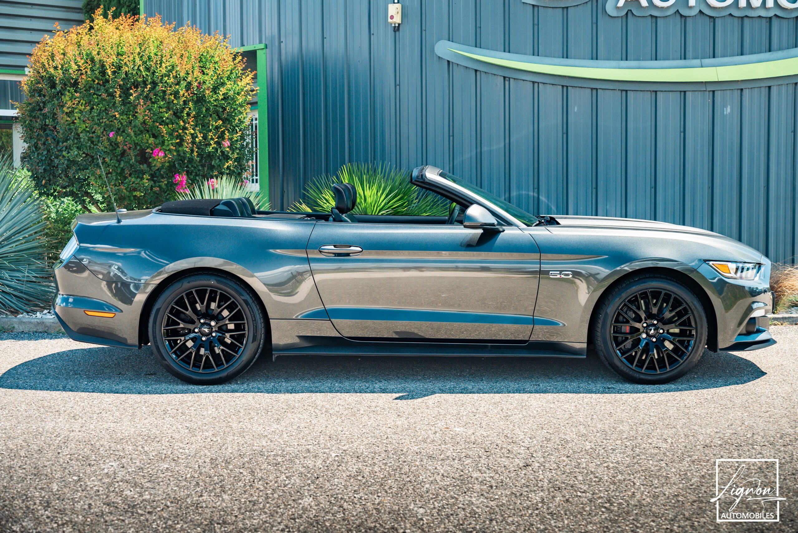 Photo Ford Mustang 5.0 v8 GT Cabriolet 421 ch BVA6