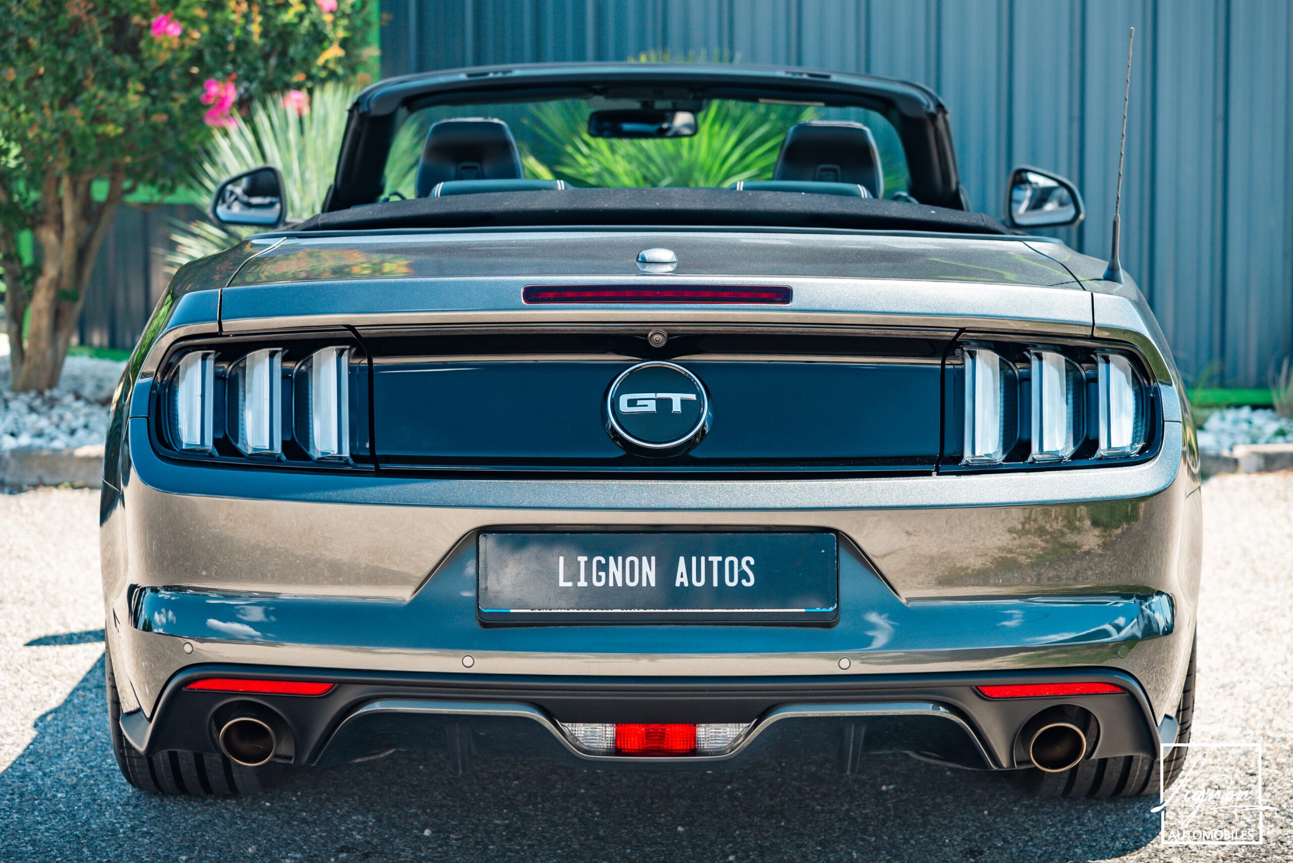 Photo Ford Mustang 5.0 v8 GT Cabriolet 421 ch BVA6