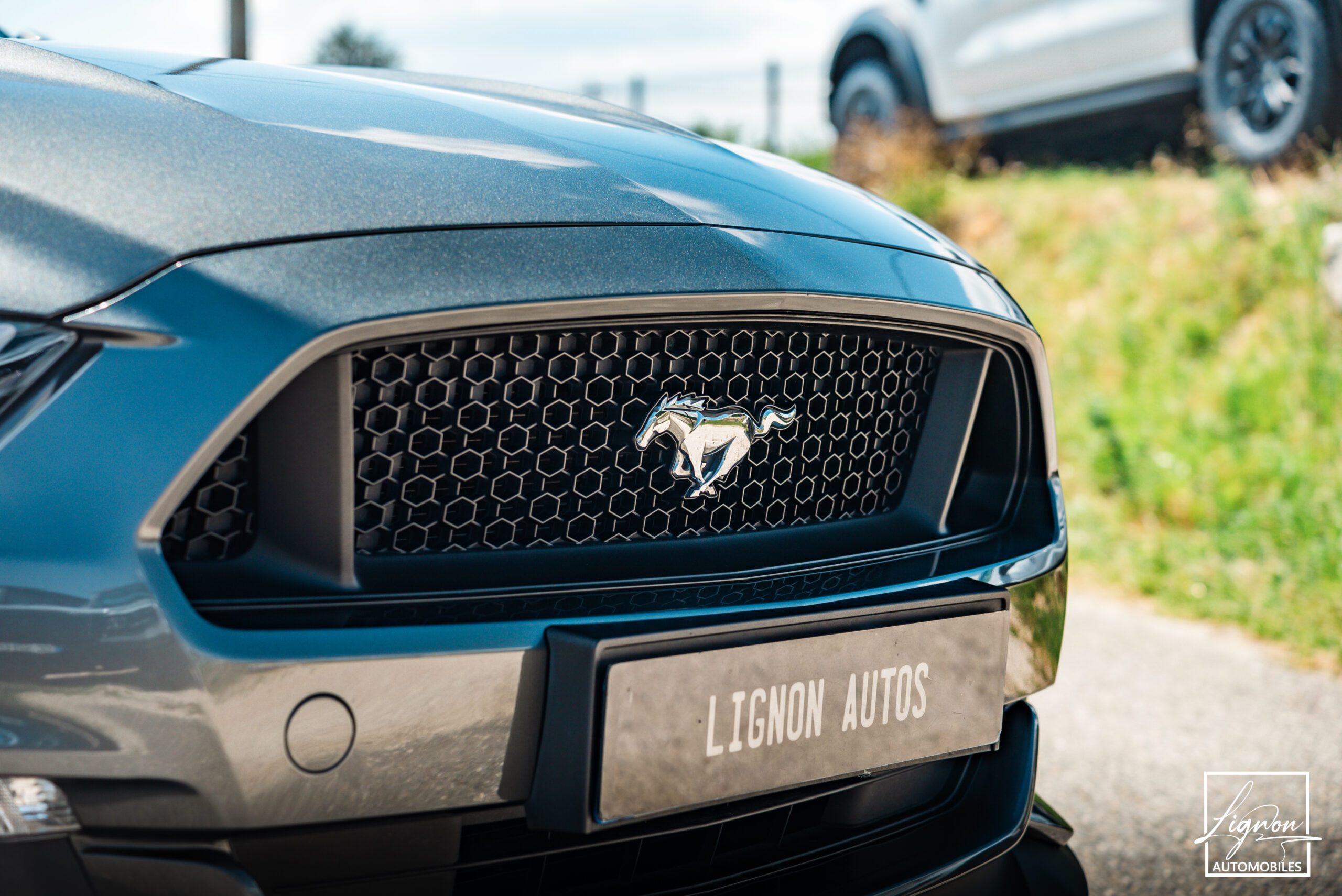 Photo Ford Mustang 5.0 v8 GT Cabriolet 421 ch BVA6