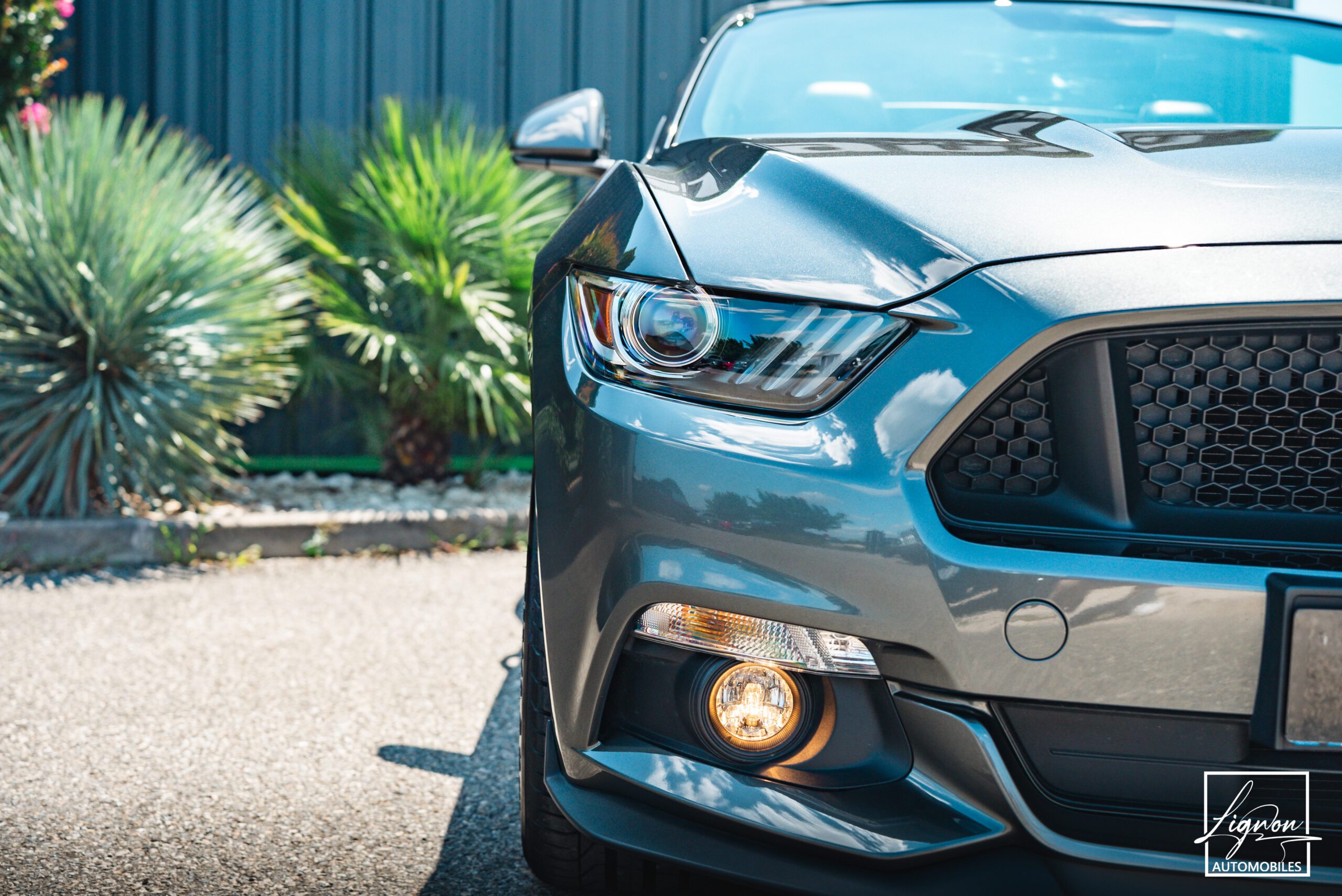 Photo Ford Mustang 5.0 v8 GT Cabriolet 421 ch BVA6