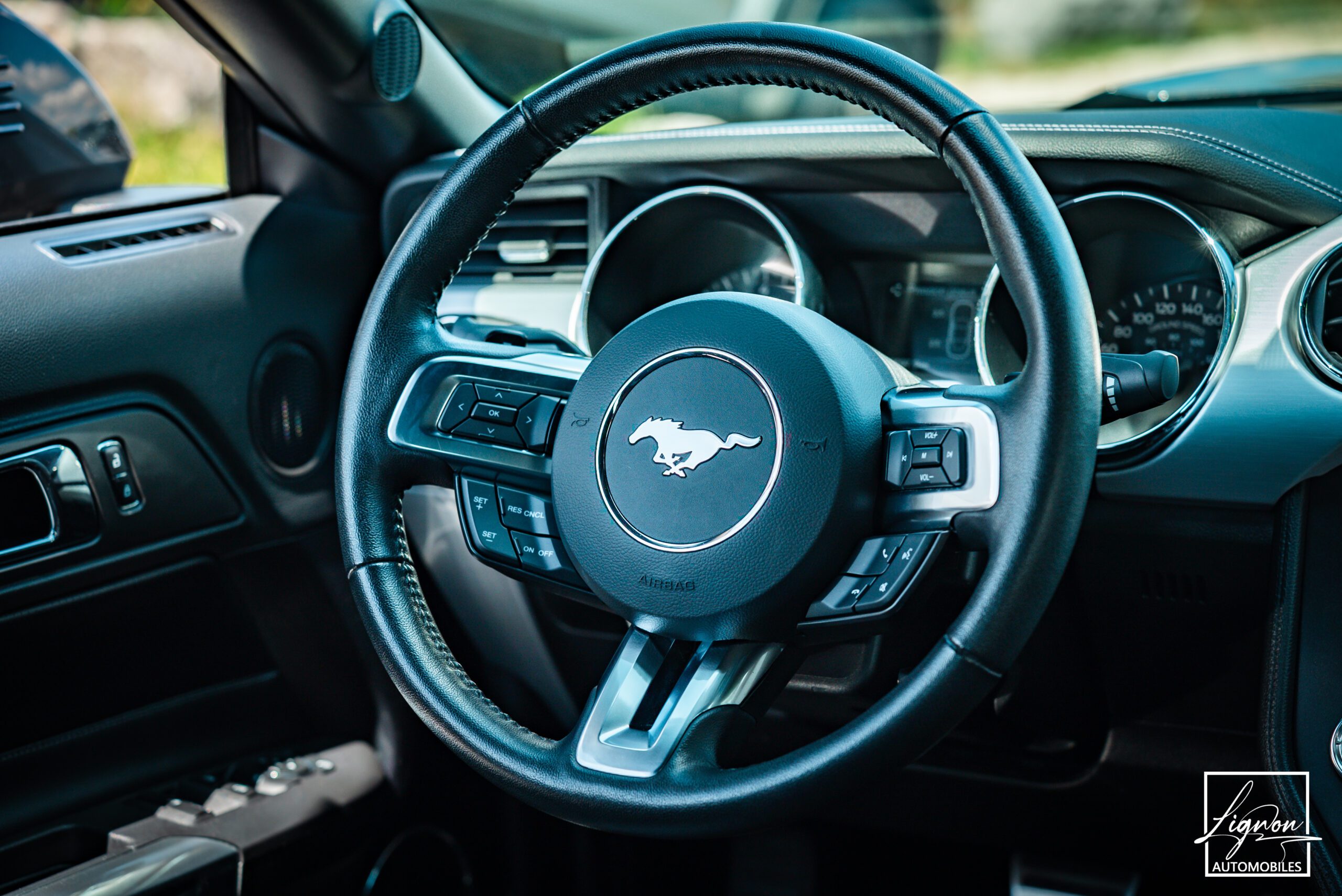 Photo Ford Mustang 5.0 v8 GT Cabriolet 421 ch BVA6