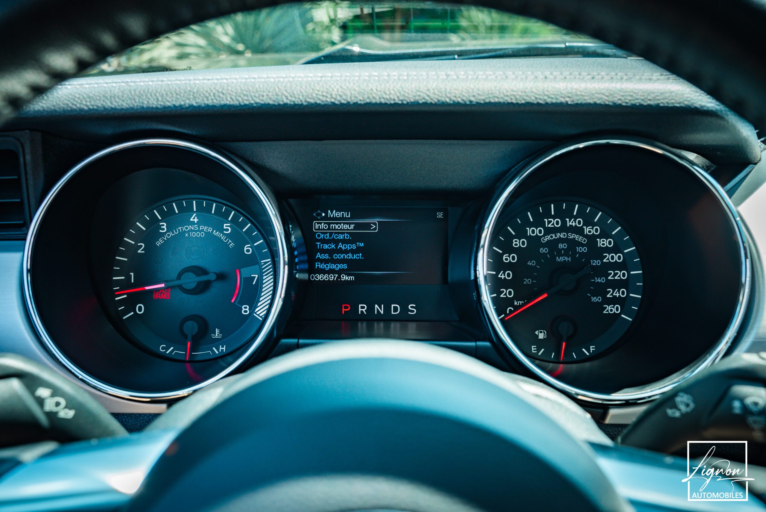 Photo Ford Mustang 5.0 v8 GT Cabriolet 421 ch BVA6