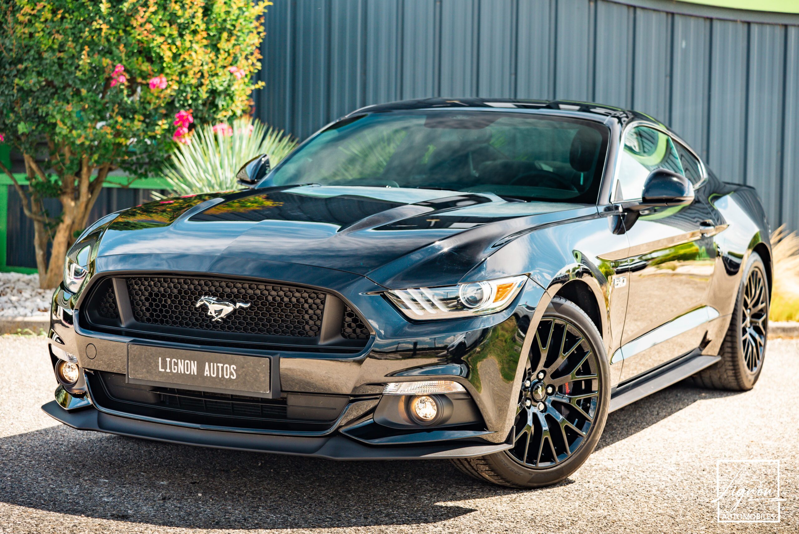 1510 Ford Mustang Fastback 5.0 v8 GT 421 ch BVA6