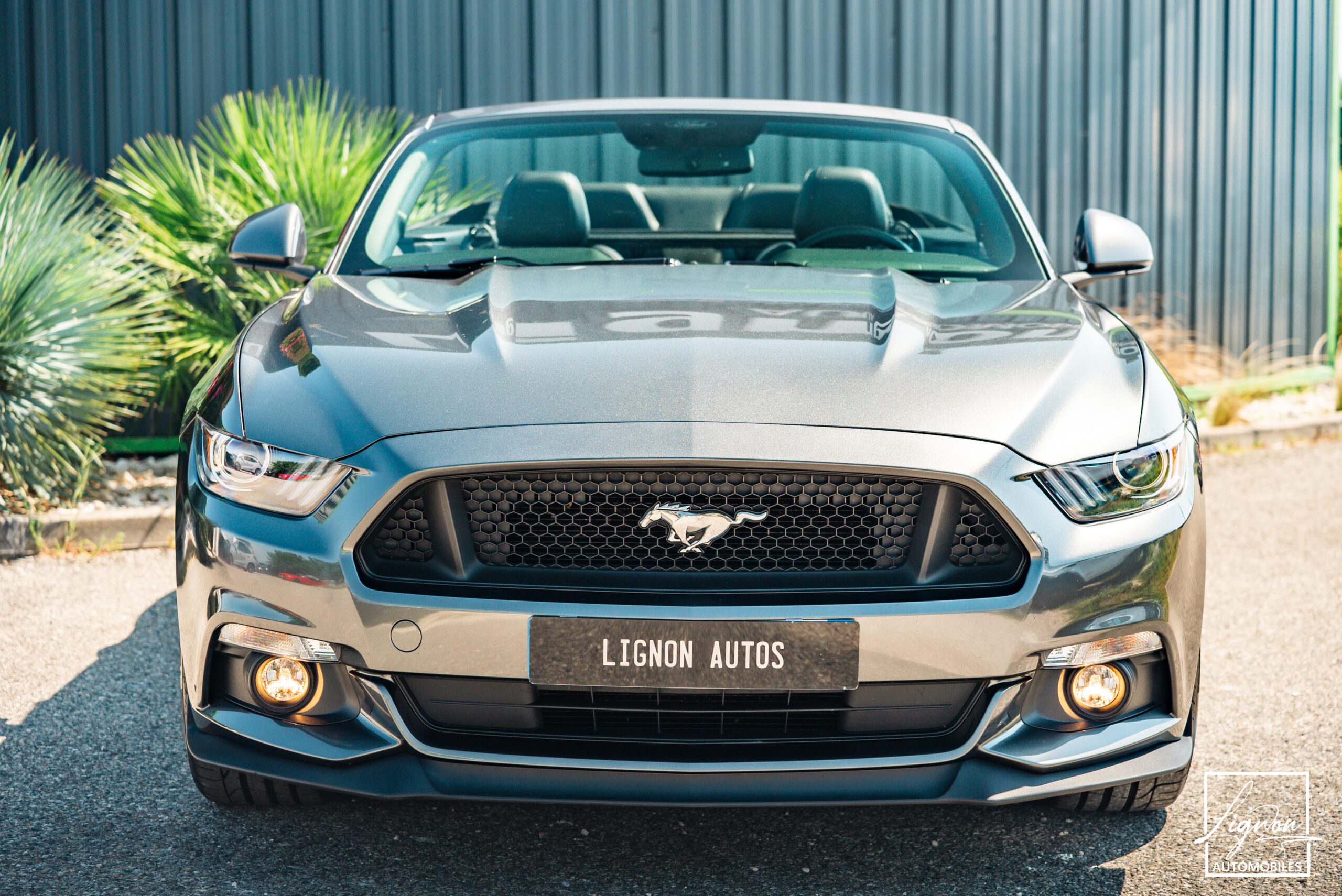 Photo Ford Mustang GT V8 5.0L Cabriolet BVM6