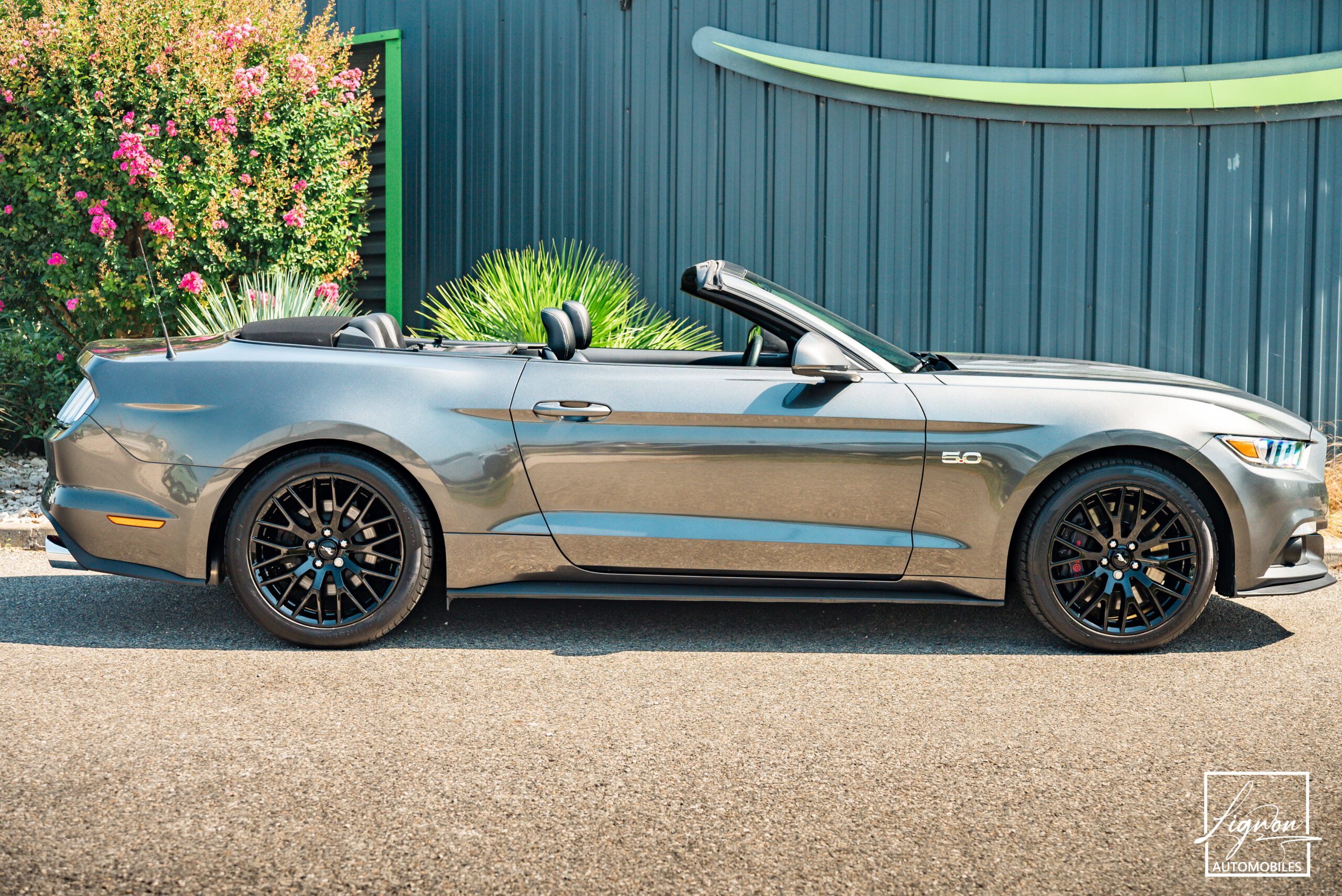 Photo Ford Mustang GT V8 5.0L Cabriolet BVM6