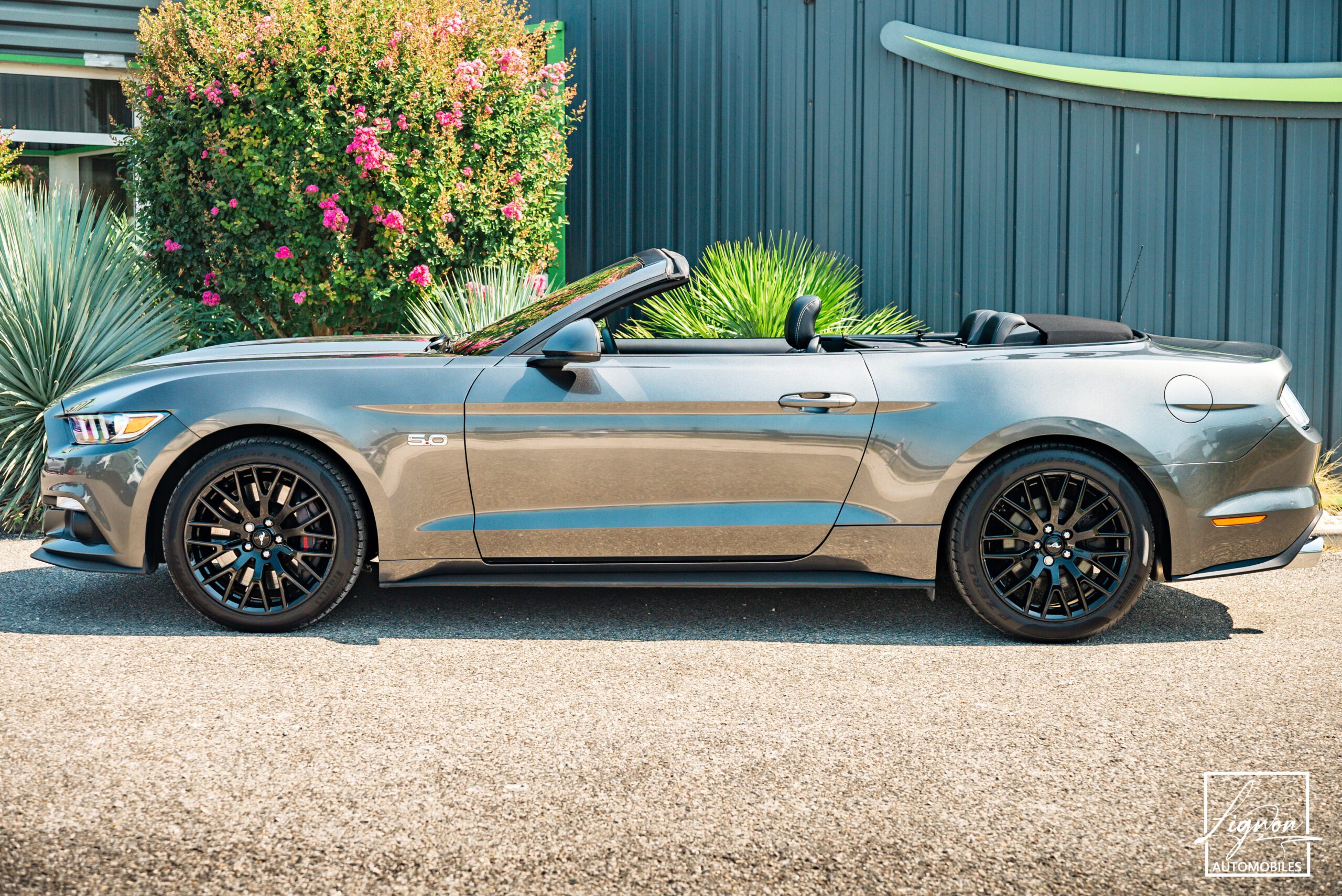 Photo Ford Mustang GT V8 5.0L Cabriolet BVM6