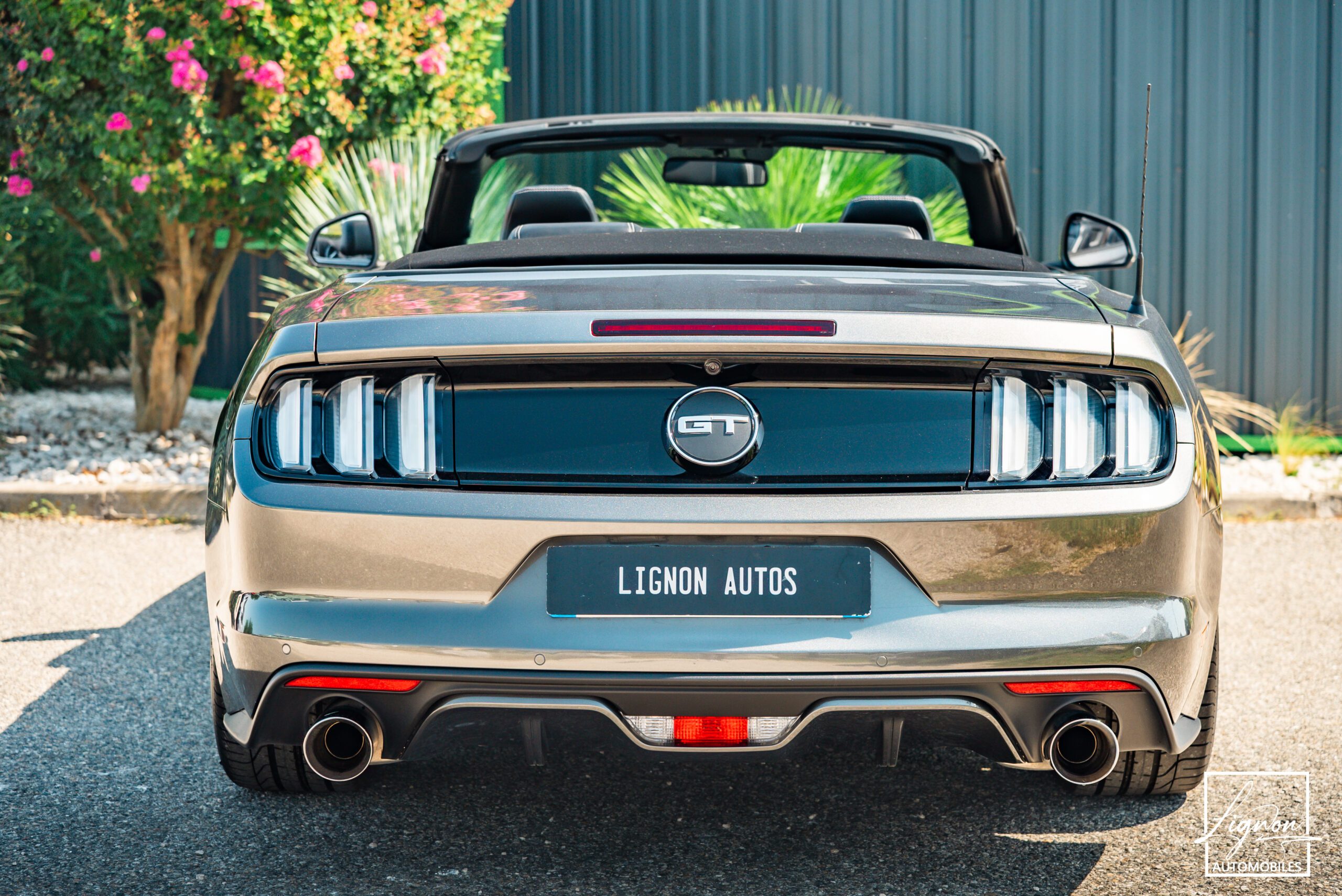 Photo Ford Mustang GT V8 5.0L Cabriolet BVM6