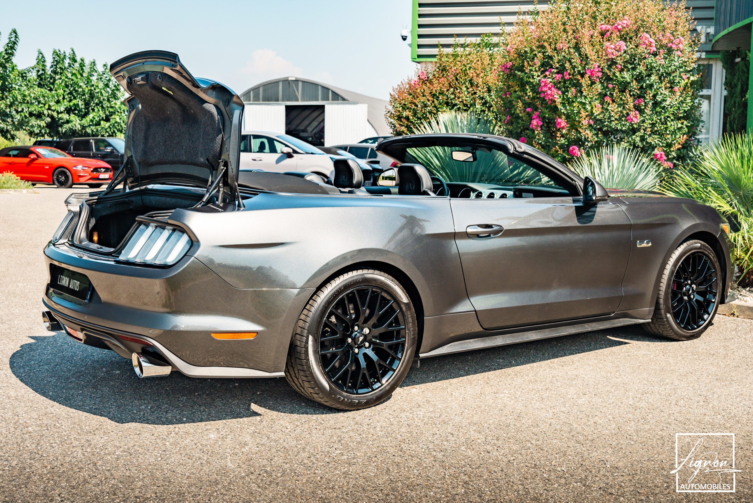 Photo Ford Mustang GT V8 5.0L Cabriolet BVM6