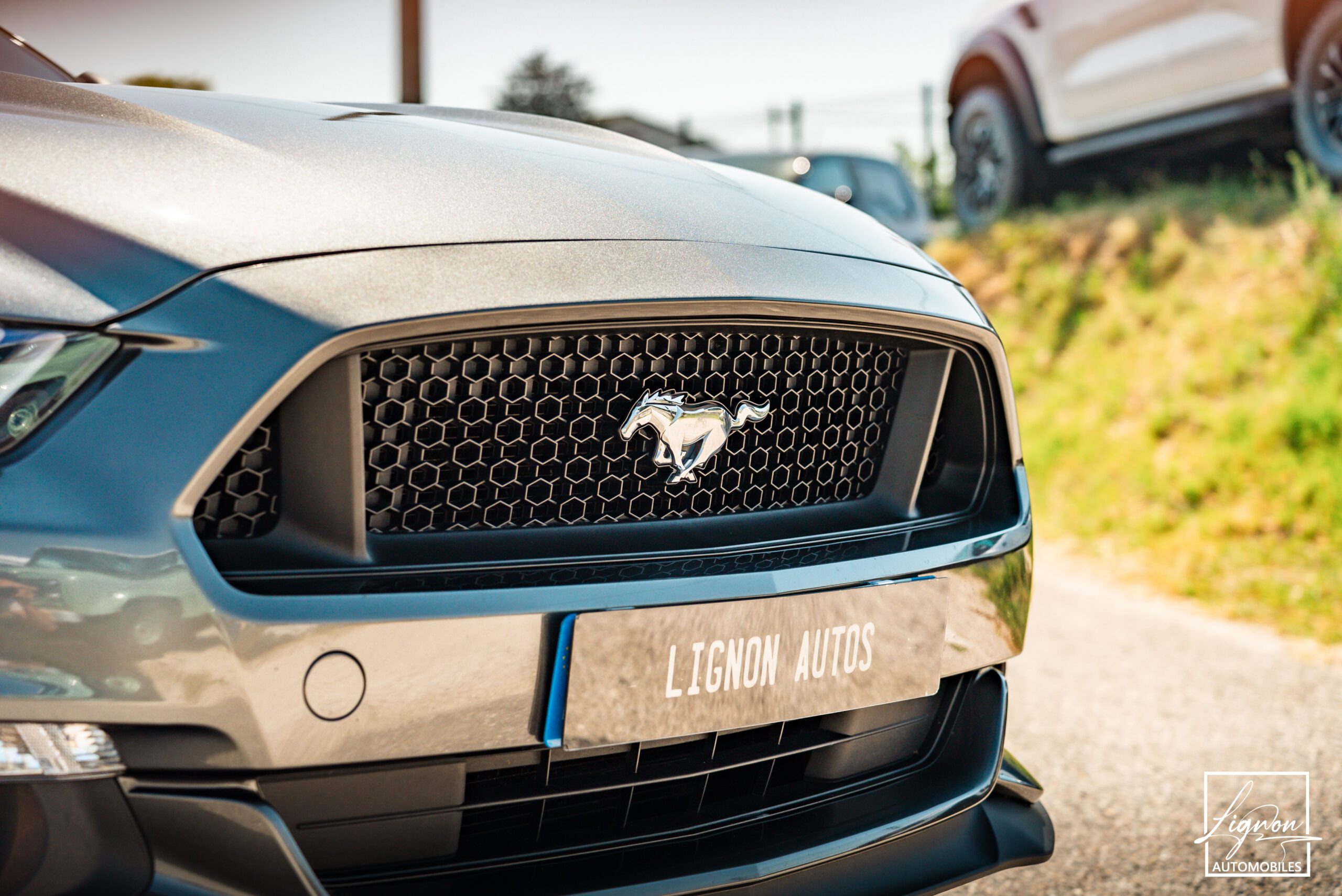 Photo Ford Mustang GT V8 5.0L Cabriolet BVM6