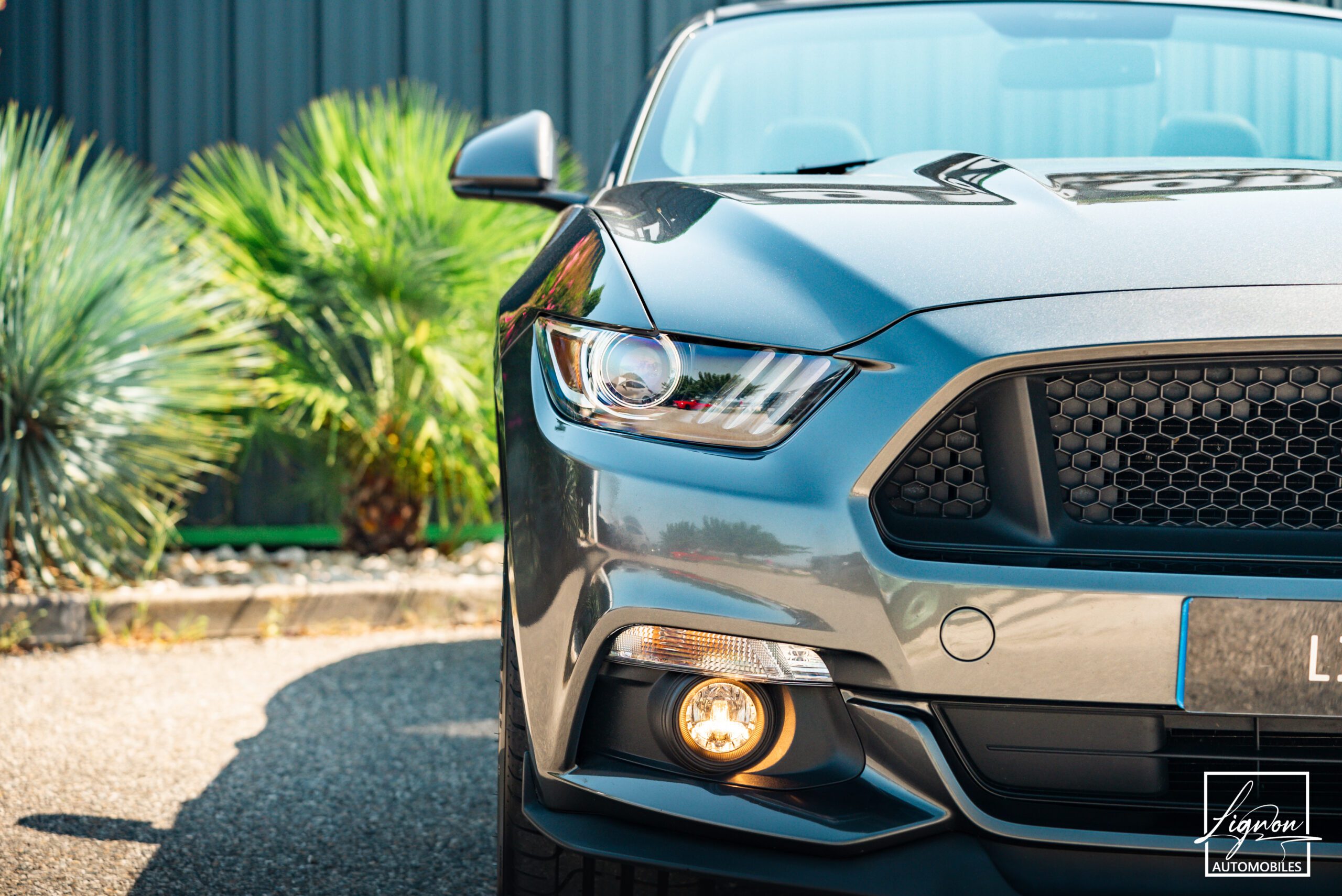 Photo Ford Mustang GT V8 5.0L Cabriolet BVM6
