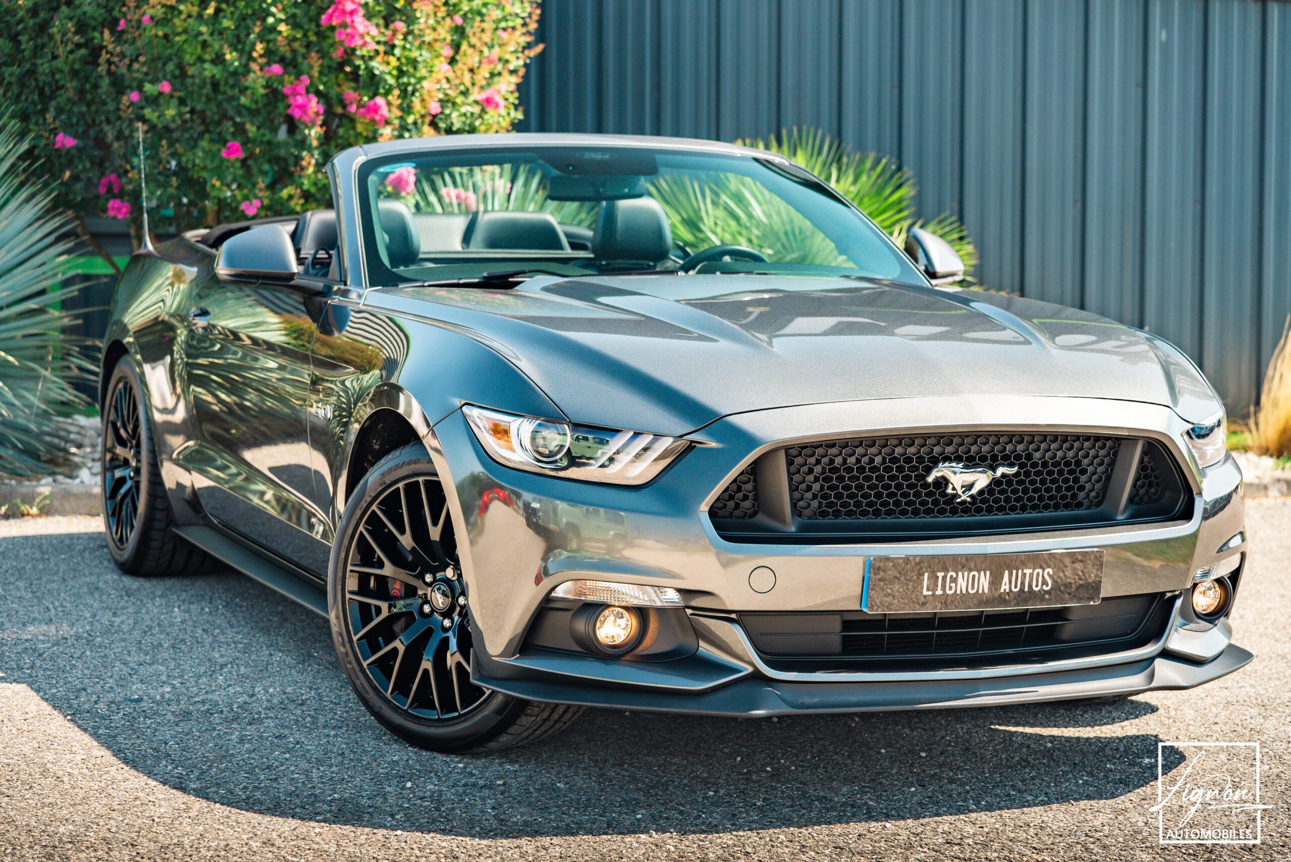 Ford Mustang GT V8 5.0L Cabriolet BVM6