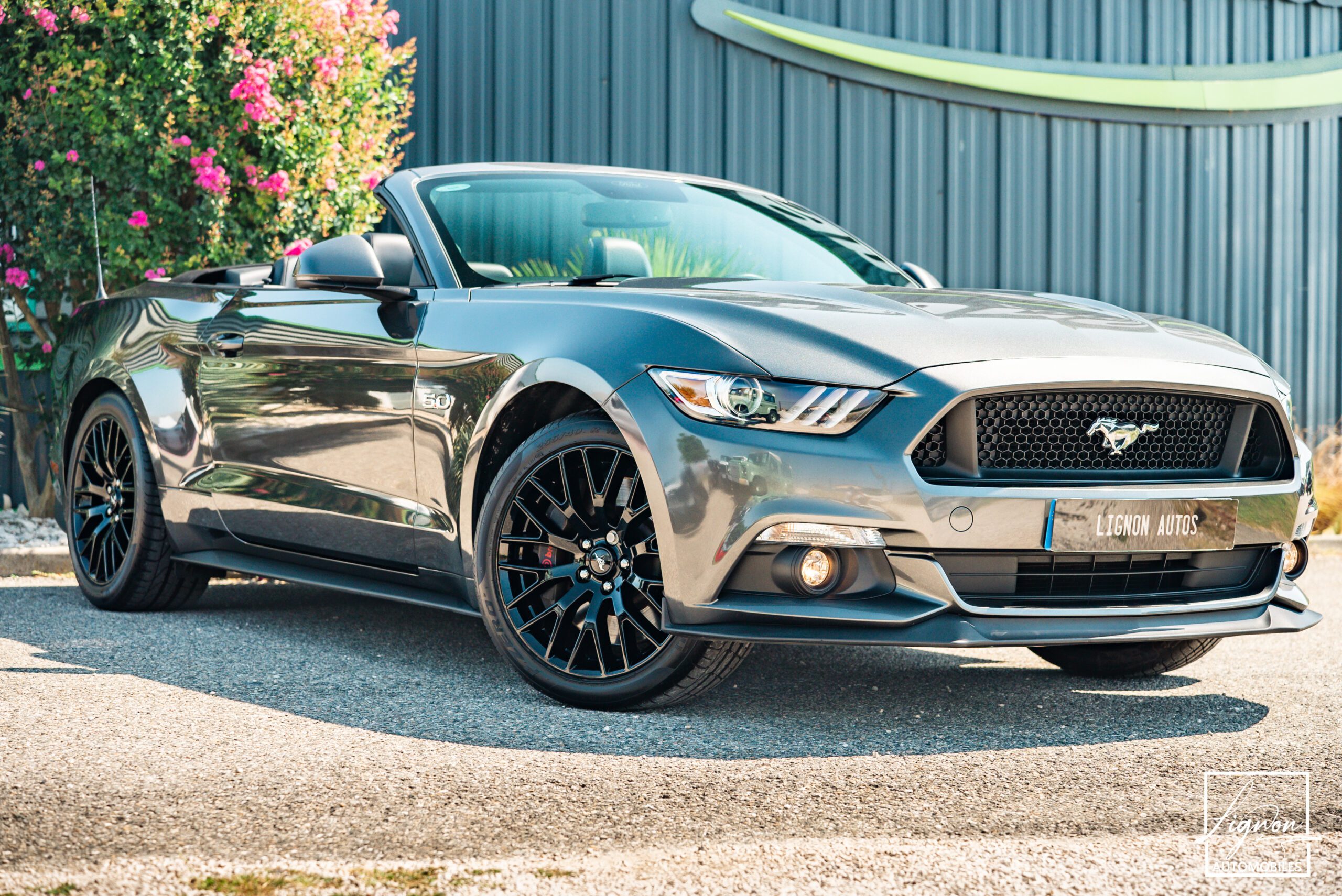 Photo Ford Mustang GT V8 5.0L Cabriolet BVM6