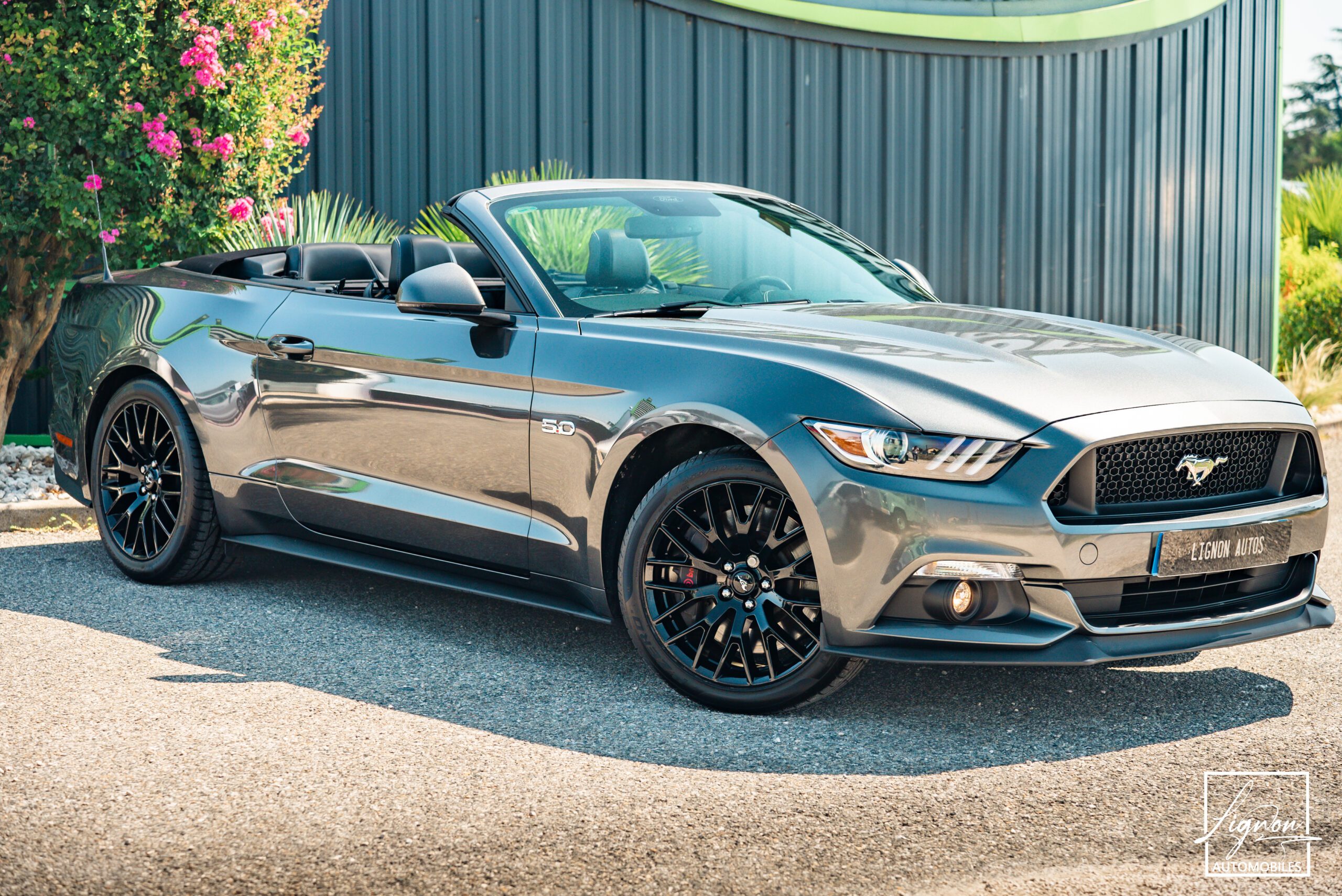 Photo Ford Mustang GT V8 5.0L Cabriolet BVM6