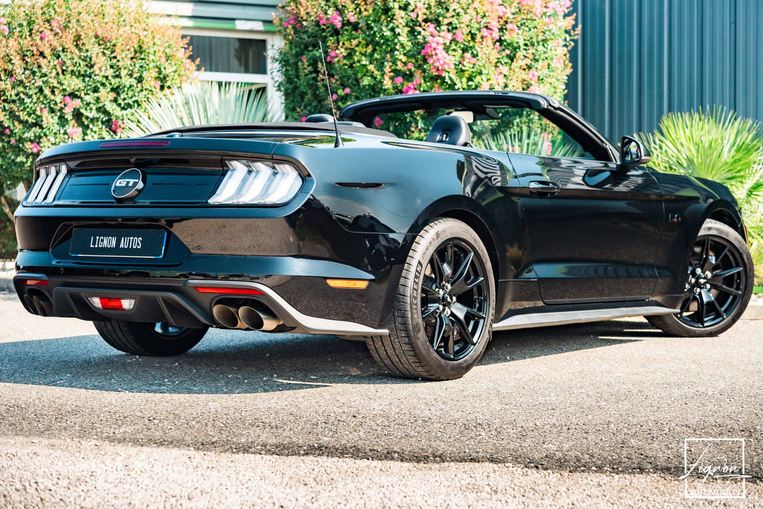 Photo Ford Mustang Cabriolet GT 5.0l Edition Spéciale 55th Anniversary B&O + Magneride