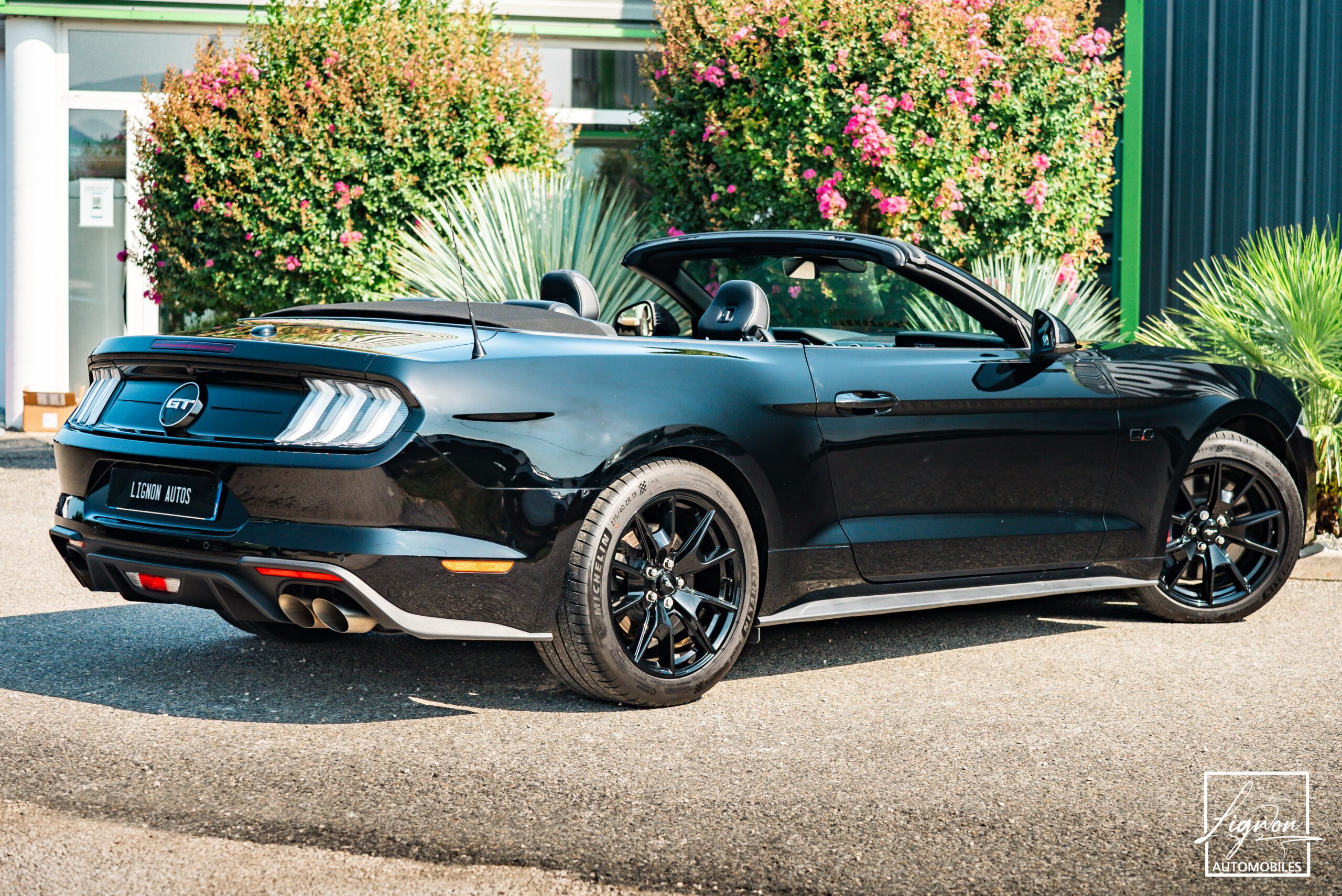 Photo Ford Mustang Cabriolet GT 5.0l Edition Spéciale 55th Anniversary B&O + Magneride