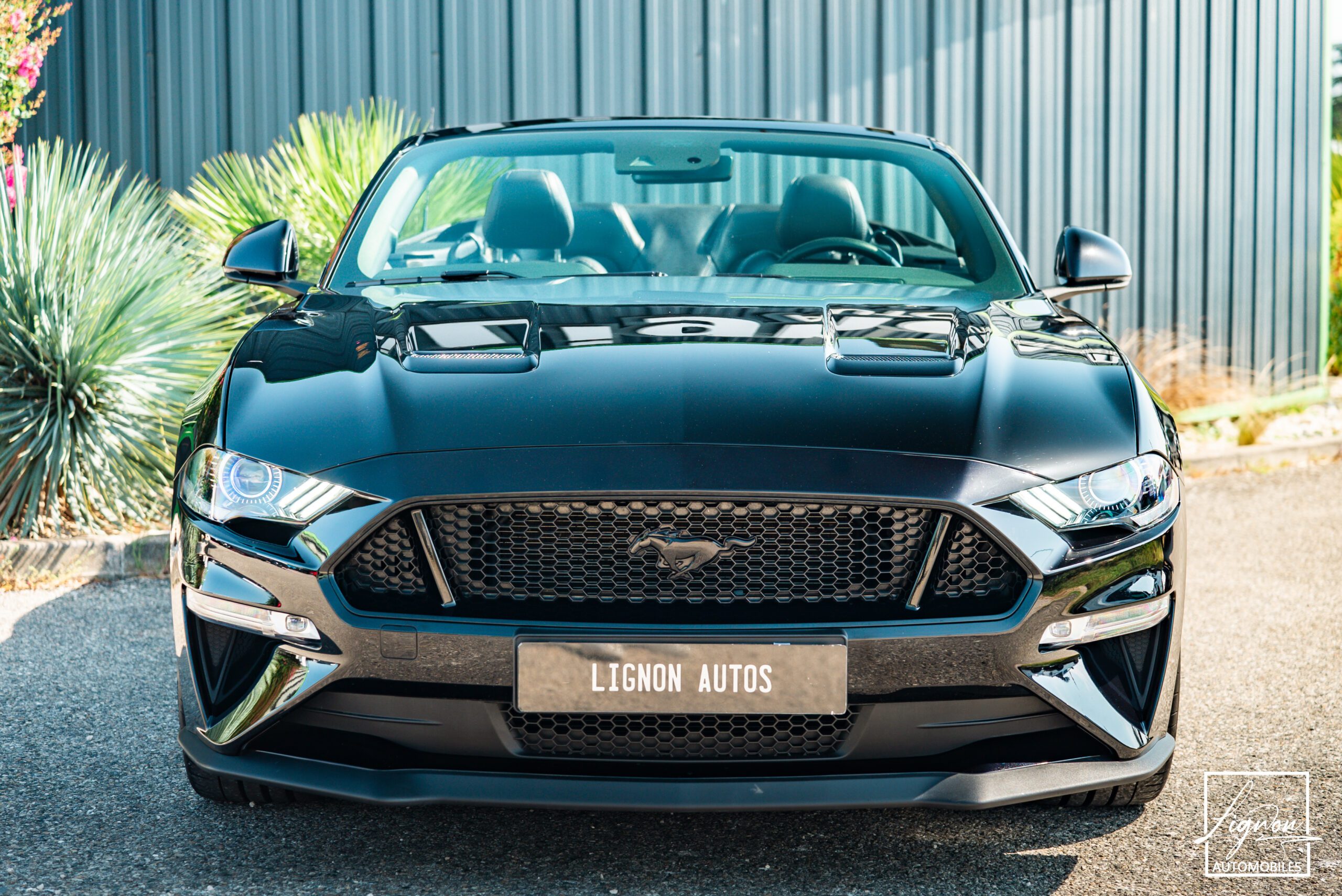 Photo Ford Mustang Cabriolet GT 5.0l Edition Spéciale 55th Anniversary B&O + Magneride