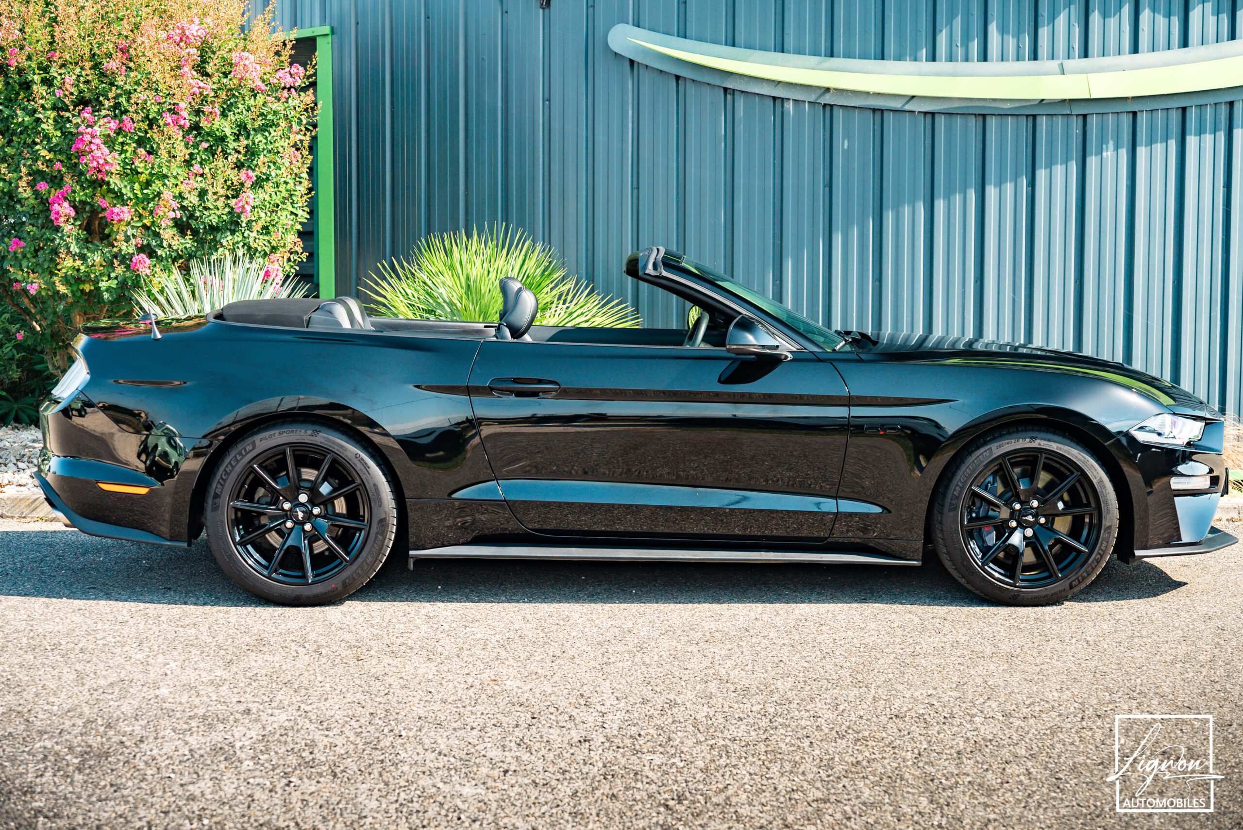 Photo Ford Mustang Cabriolet GT 5.0l Edition Spéciale 55th Anniversary B&O + Magneride