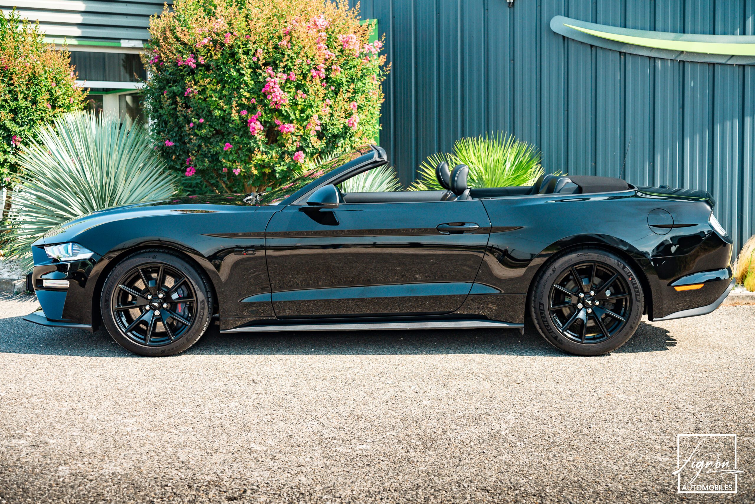 Photo Ford Mustang Cabriolet GT 5.0l Edition Spéciale 55th Anniversary B&O + Magneride