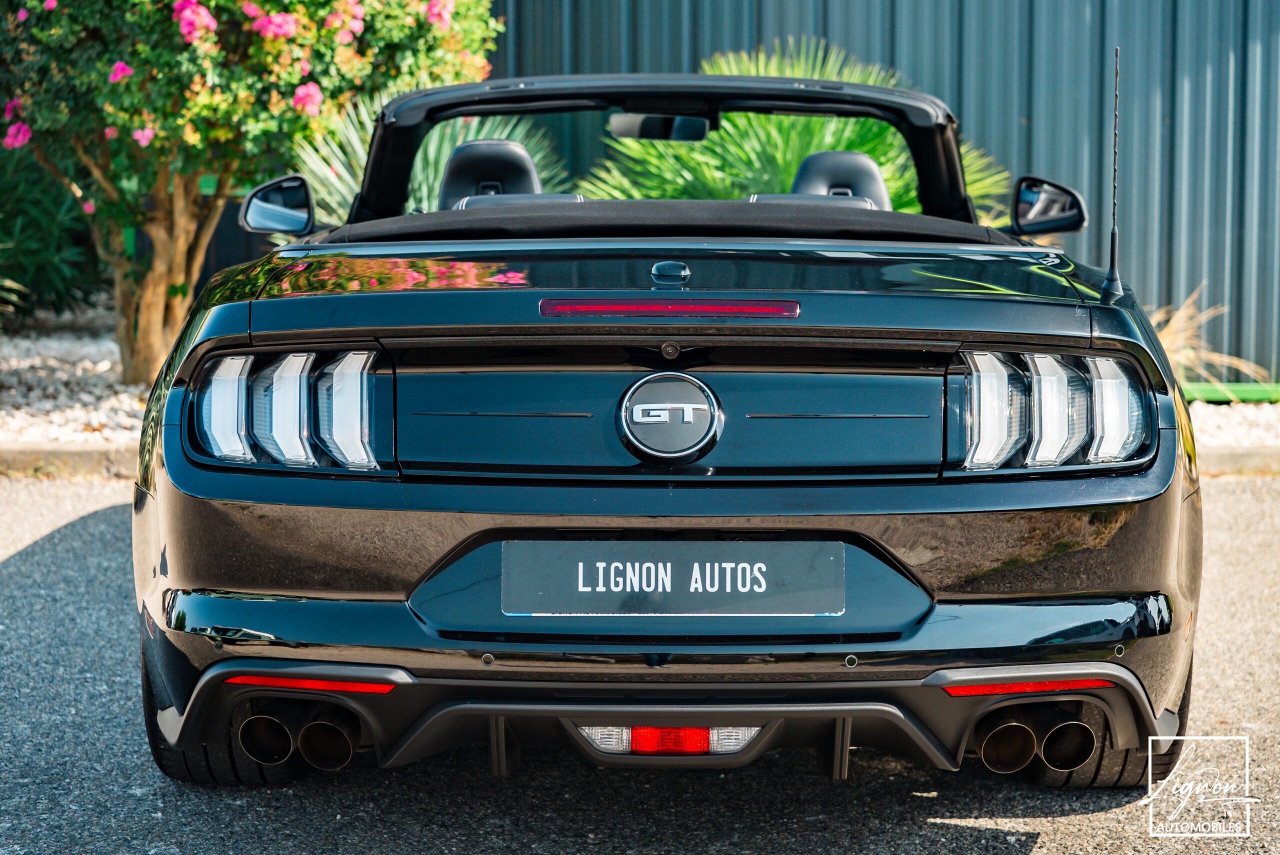 Photo Ford Mustang Cabriolet GT 5.0l Edition Spéciale 55th Anniversary B&O + Magneride