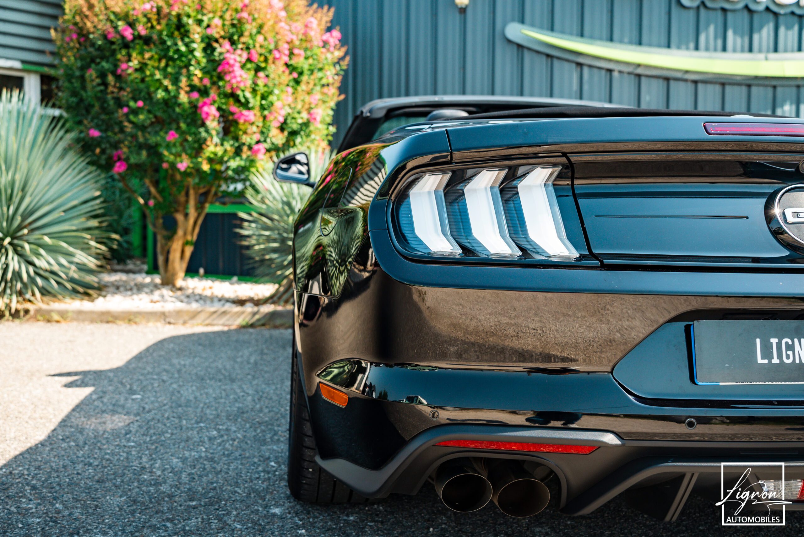 Photo Ford Mustang Cabriolet GT 5.0l Edition Spéciale 55th Anniversary B&O + Magneride