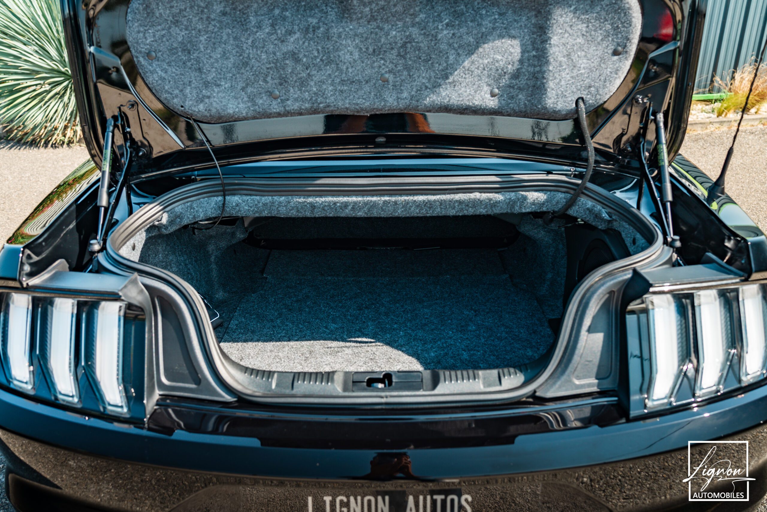 Photo Ford Mustang Cabriolet GT 5.0l Edition Spéciale 55th Anniversary B&O + Magneride