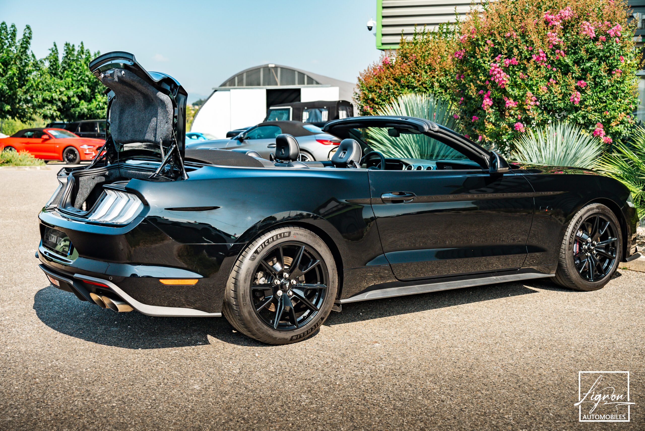 Photo Ford Mustang Cabriolet GT 5.0l Edition Spéciale 55th Anniversary B&O + Magneride
