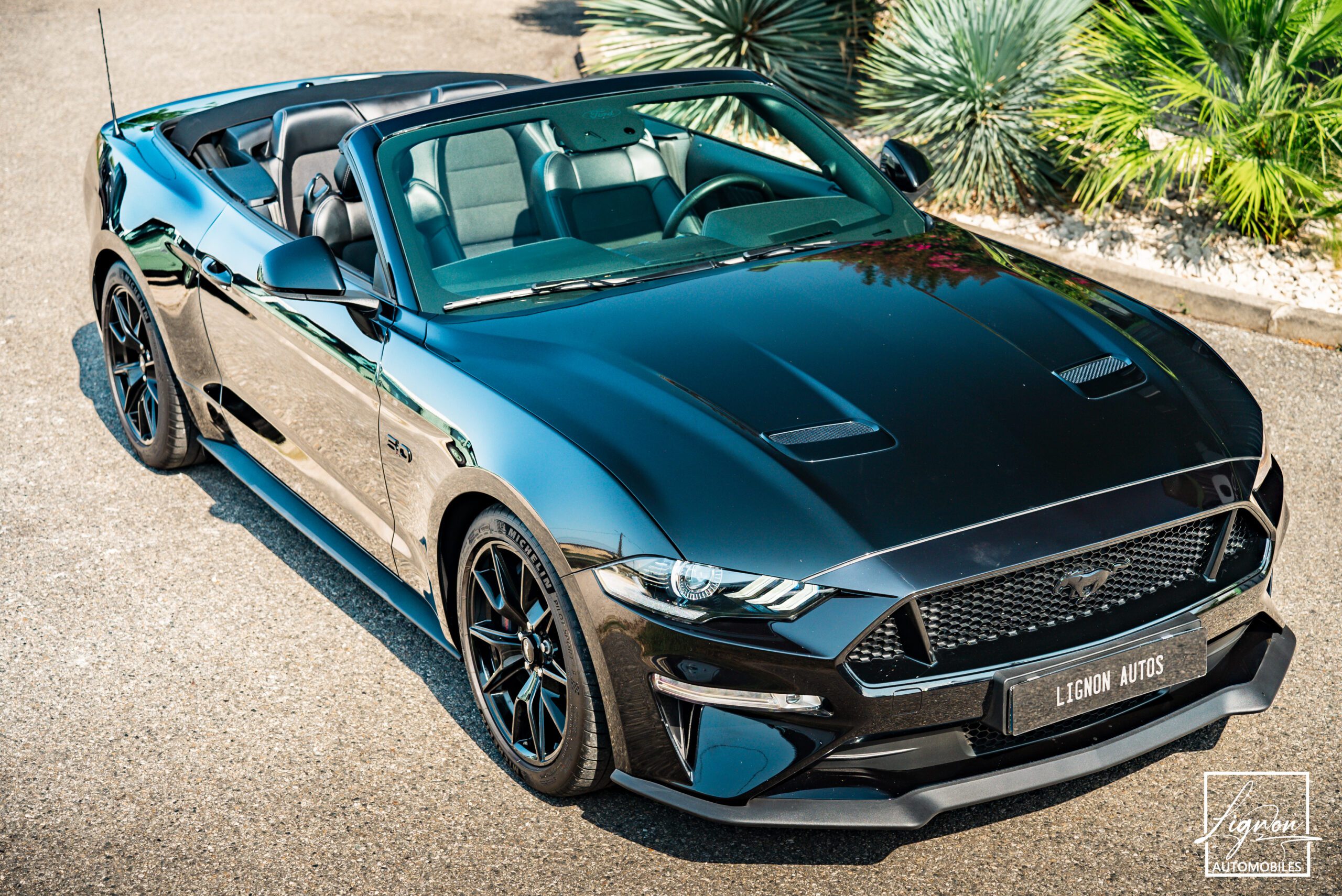 Photo Ford Mustang Cabriolet GT 5.0l Edition Spéciale 55th Anniversary B&O + Magneride