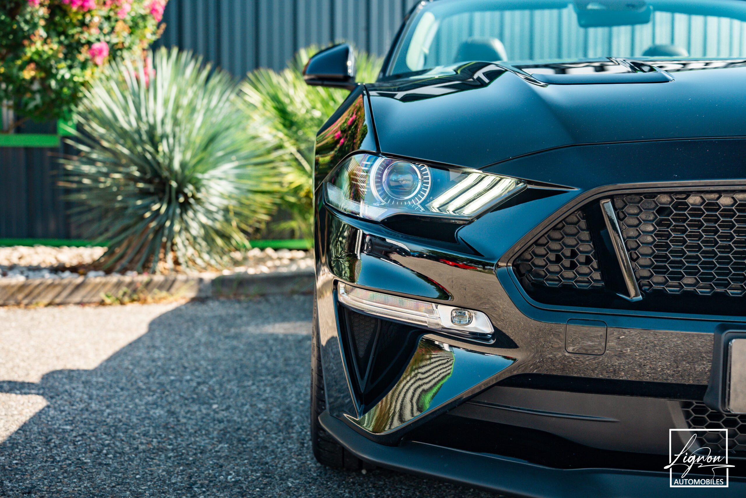 Photo Ford Mustang Cabriolet GT 5.0l Edition Spéciale 55th Anniversary B&O + Magneride