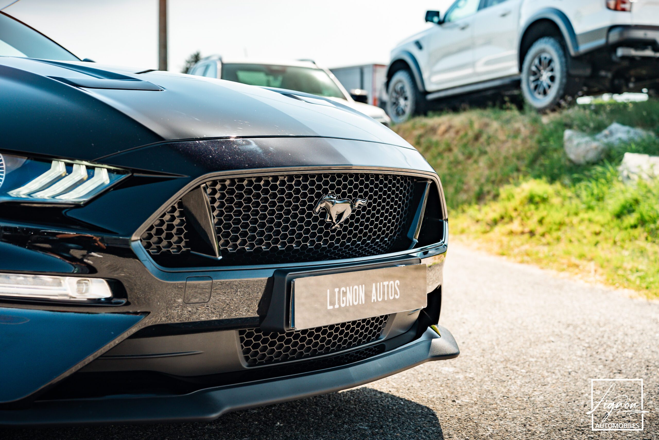 Photo Ford Mustang Cabriolet GT 5.0l Edition Spéciale 55th Anniversary B&O + Magneride