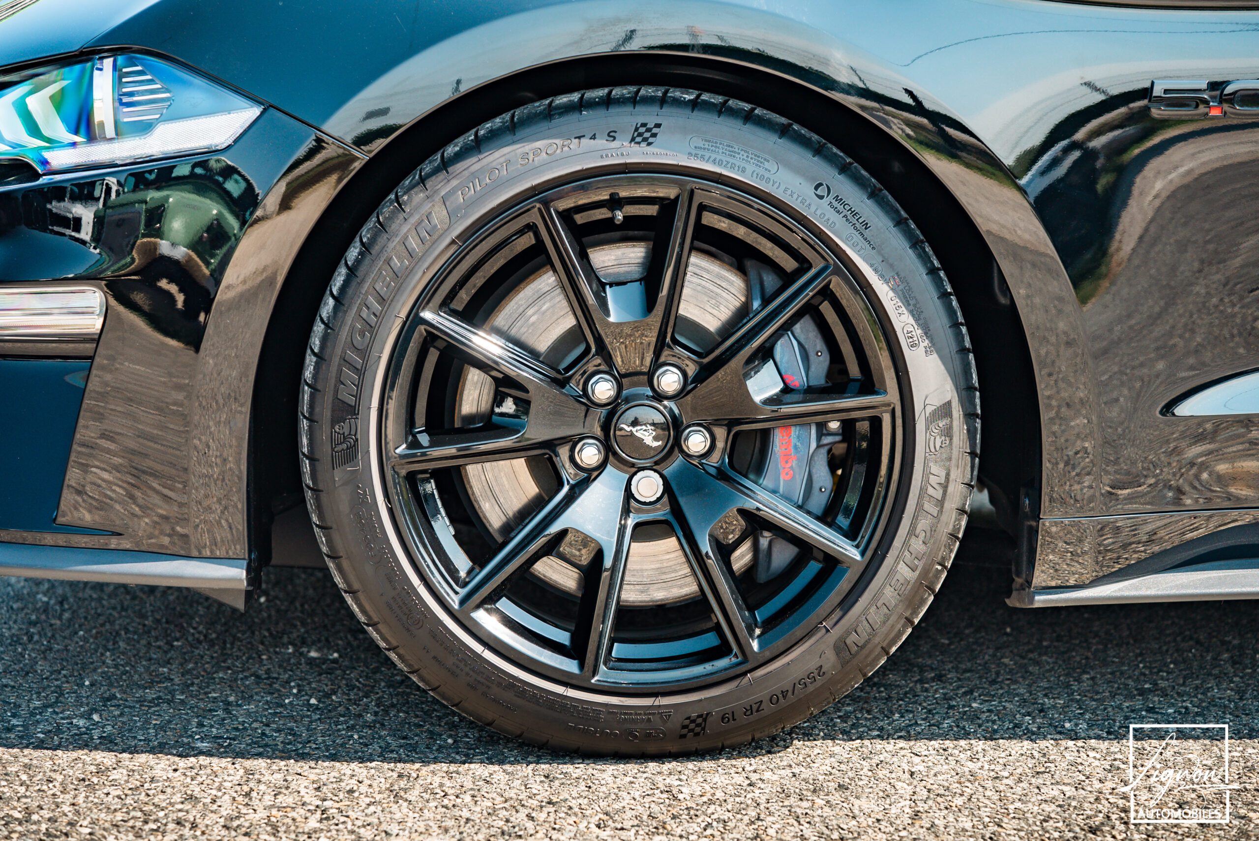 Photo Ford Mustang Cabriolet GT 5.0l Edition Spéciale 55th Anniversary B&O + Magneride