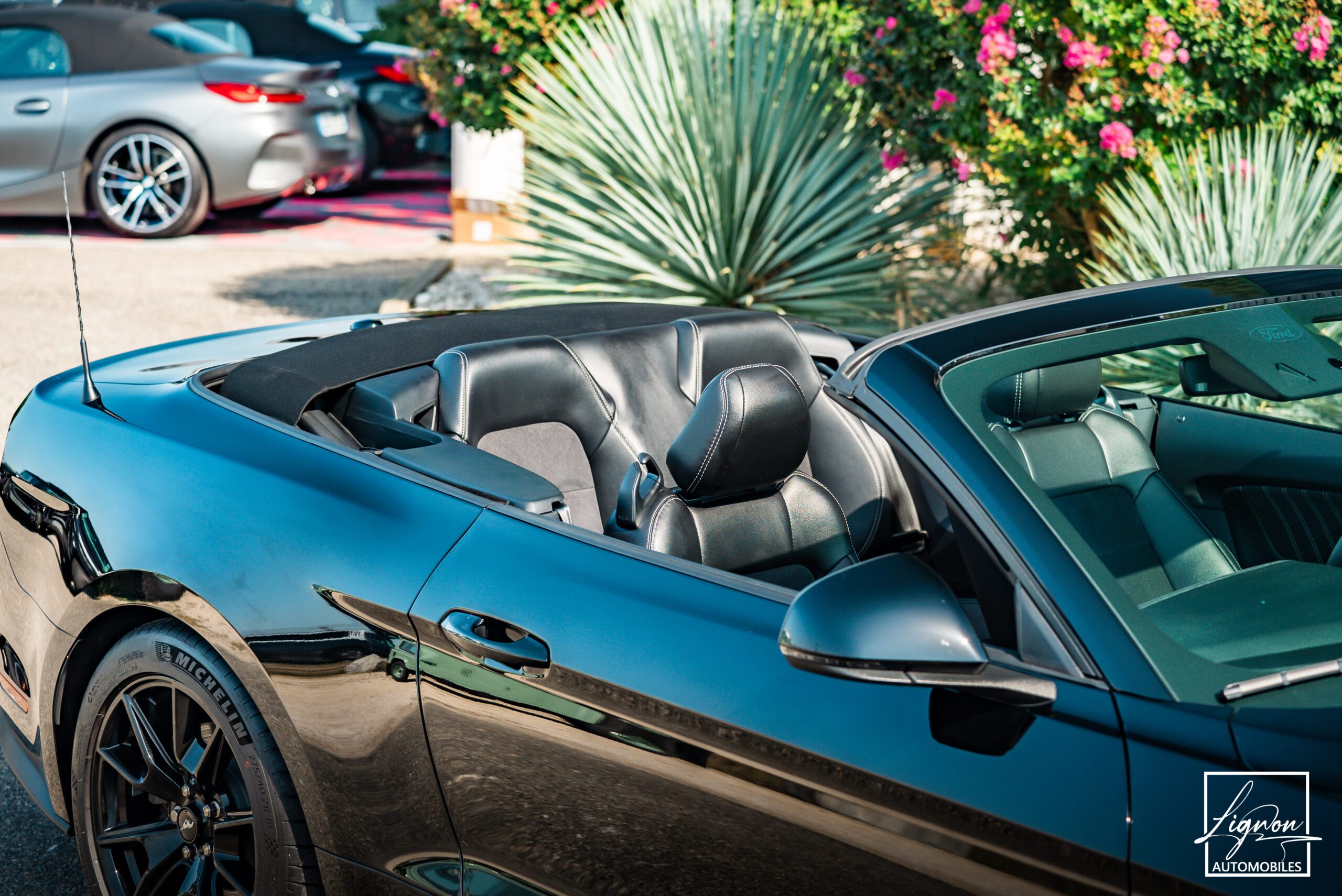 Photo Ford Mustang Cabriolet GT 5.0l Edition Spéciale 55th Anniversary B&O + Magneride